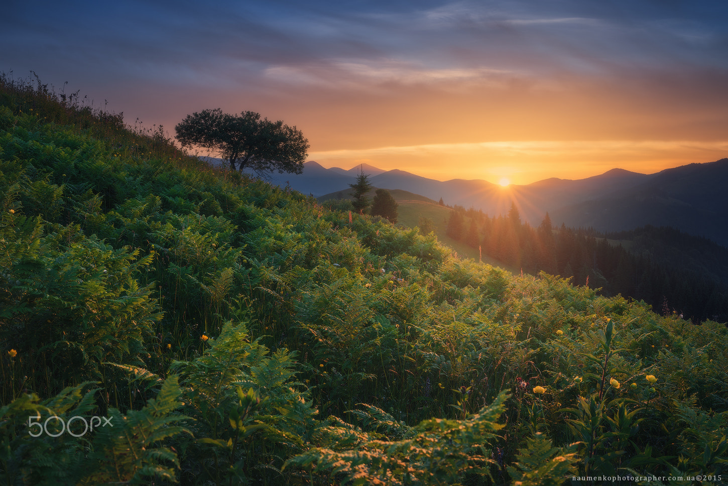 Sony a7R + Sony FE 28mm F2 sample photo. Ukraine. carpathians. dzembronya. sunset at mount kosarische photography