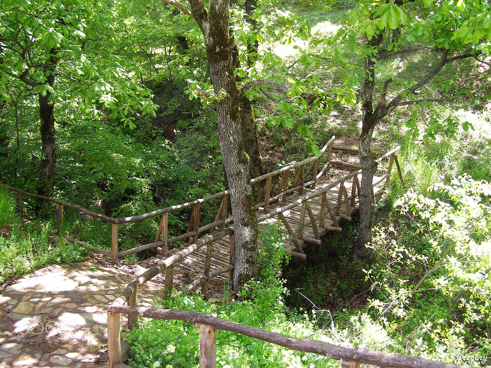 Olympus SP500UZ sample photo. Path in vertiskos forest photography