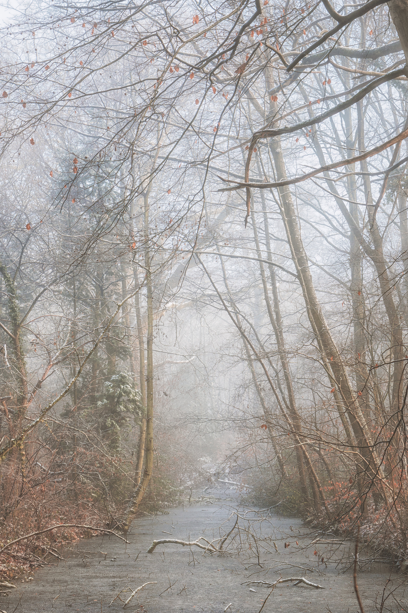 Canon EOS 750D (EOS Rebel T6i / EOS Kiss X8i) sample photo. Ice river photography