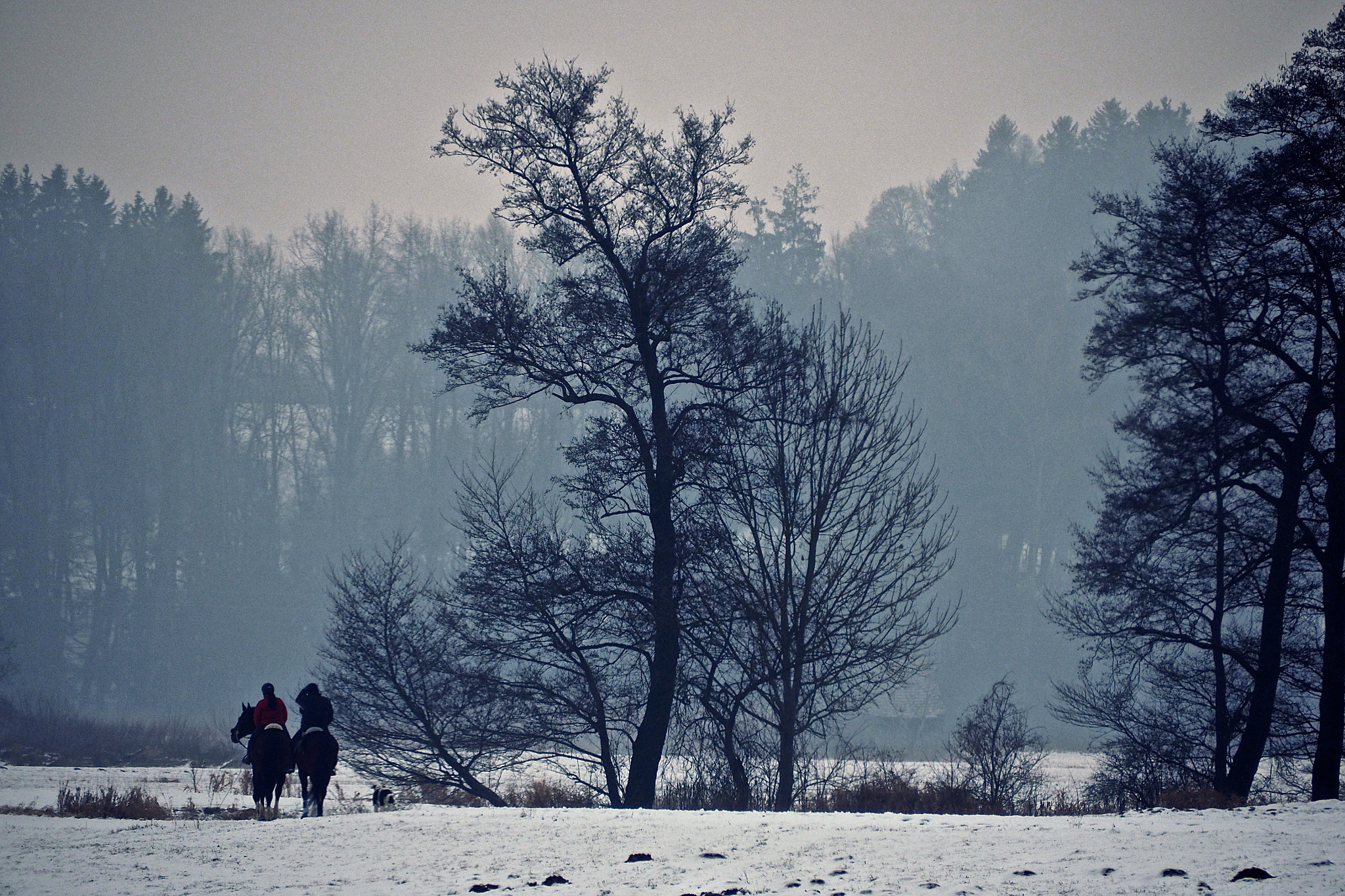 Olympus OM-D E-M5 II sample photo. Winter ride photography
