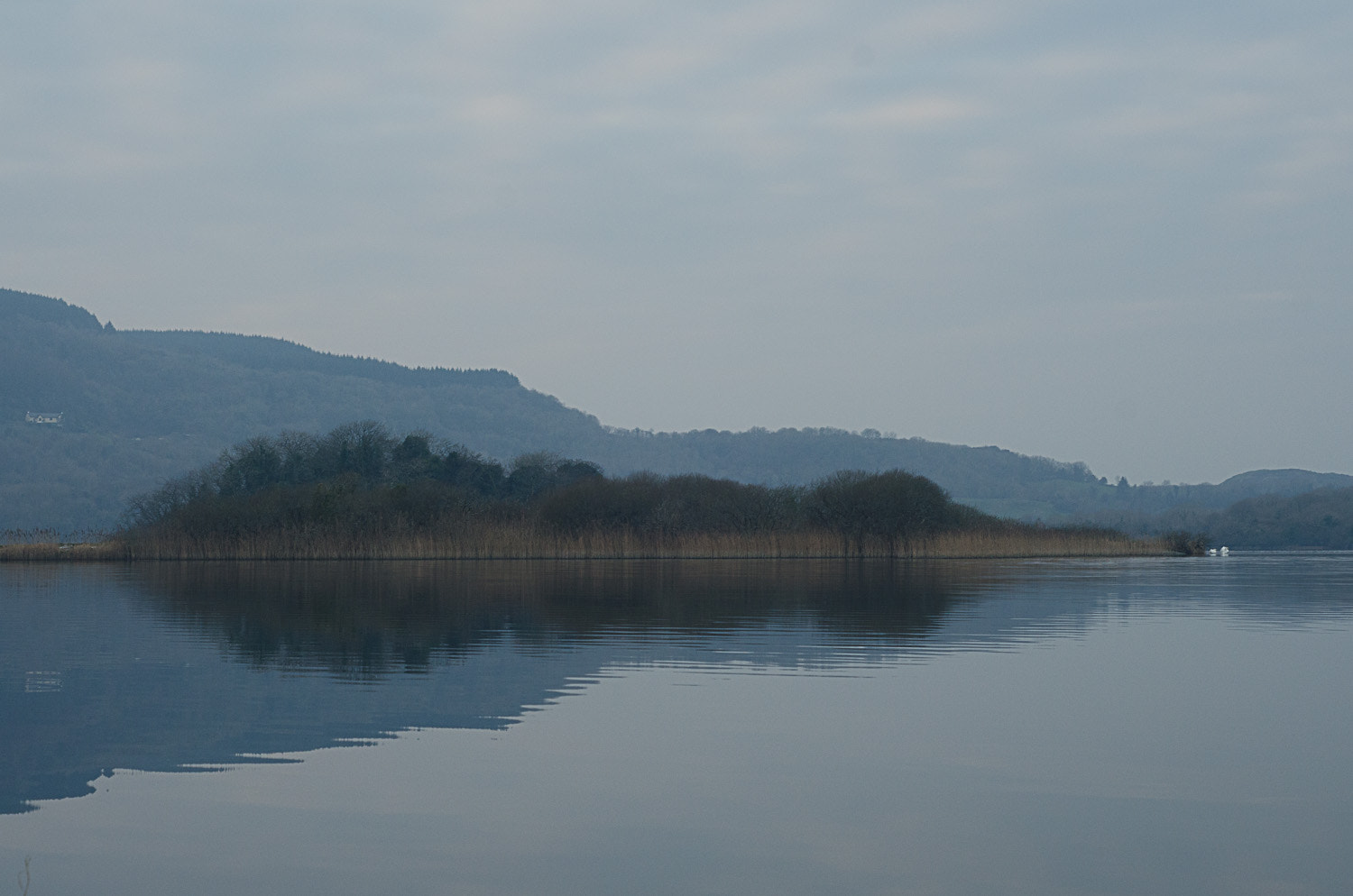 AF Nikkor 50mm f/1.8 sample photo. Loch inchiquin photography