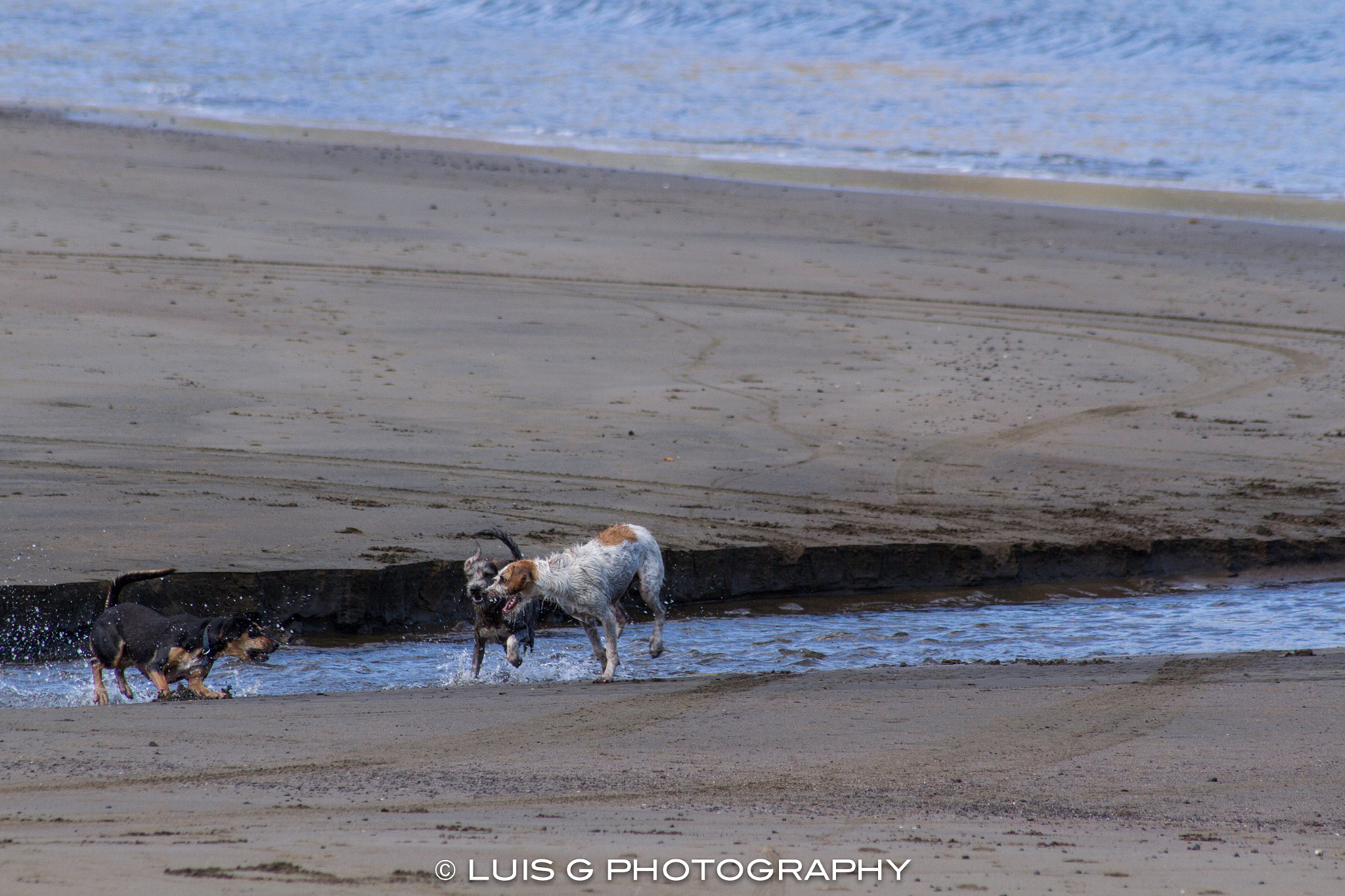 Canon EOS 7D + Sigma 50-200mm F4-5.6 DC OS HSM sample photo. Playas del coco photography