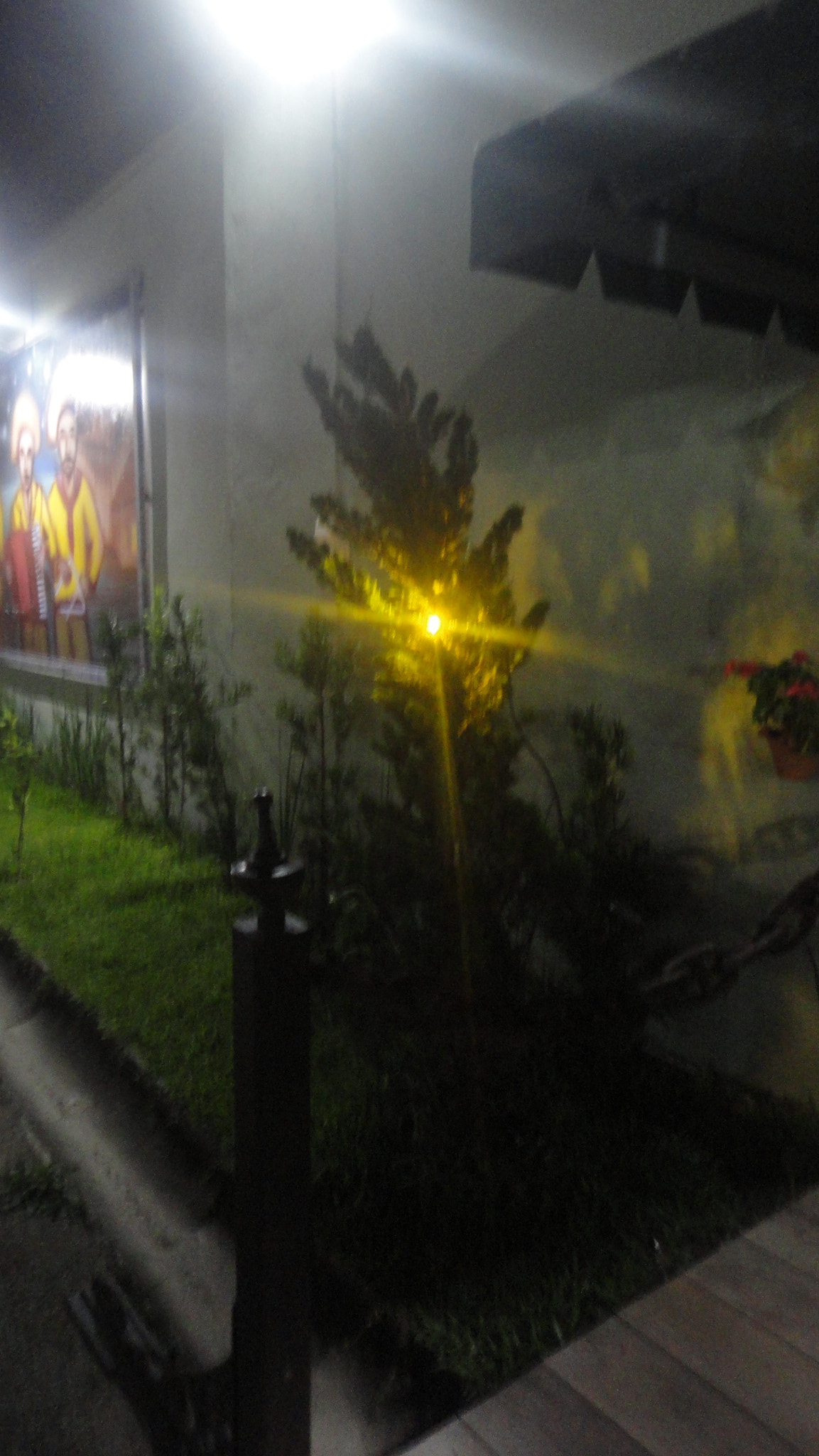 Sony Cyber-shot DSC-W350 sample photo. Gralha azul ilumina photography