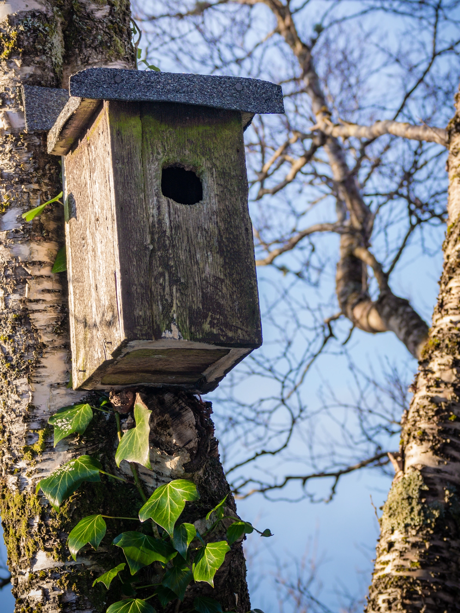 Samsung NX30 + Samsung NX 50-200mm F4-5.6 ED OIS sample photo. "abandoned bird house" photography