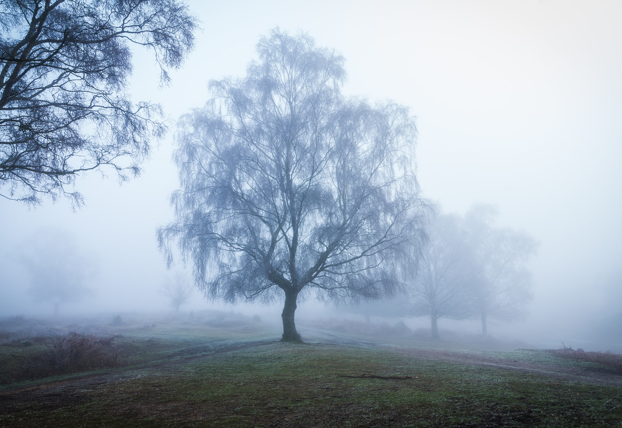 Sony Alpha QX1 + Sony DT 50mm F1.8 SAM sample photo. Foggy morning 6 photography