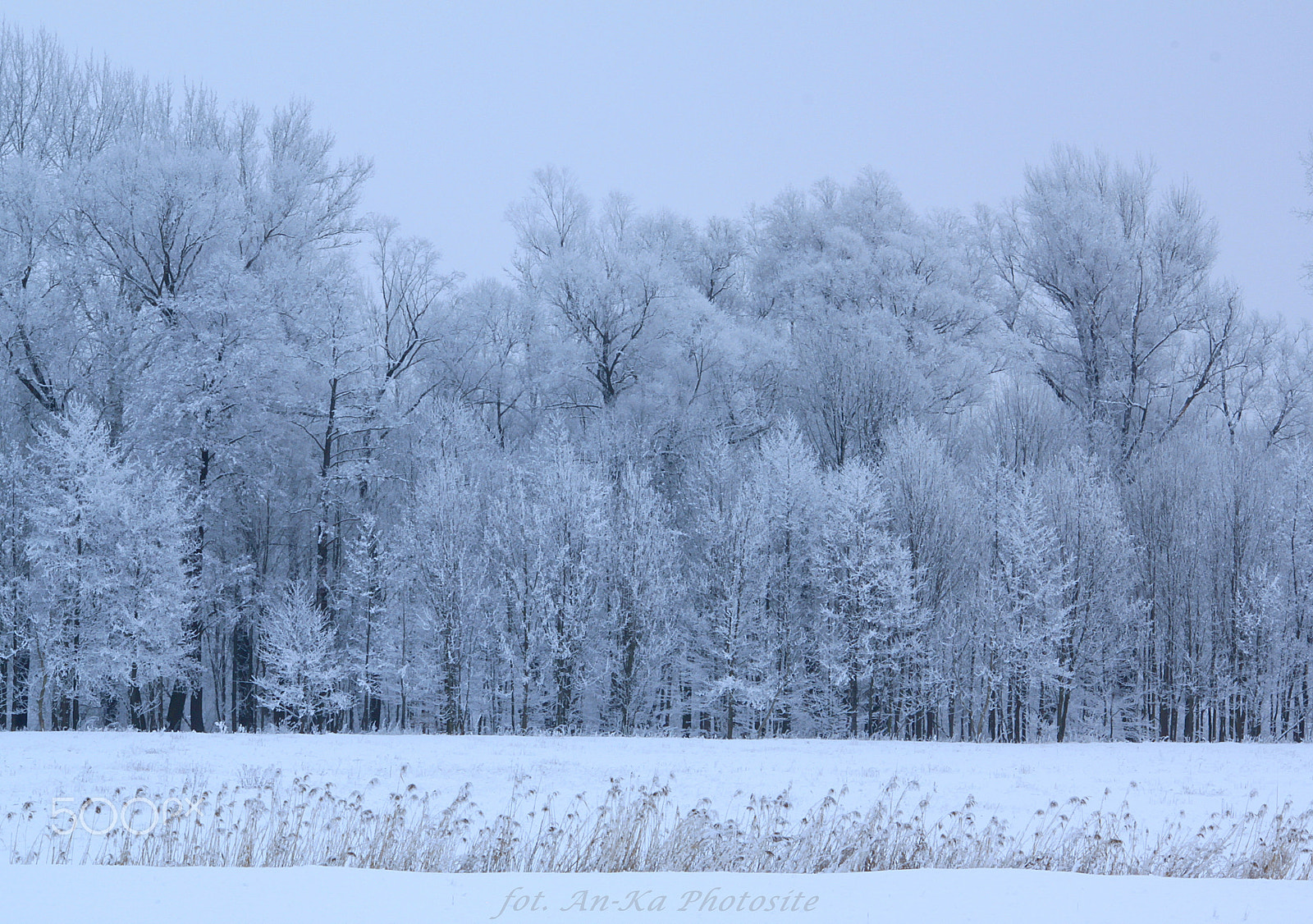 Canon EOS 500D (EOS Rebel T1i / EOS Kiss X3) sample photo. Winter landscapes photography