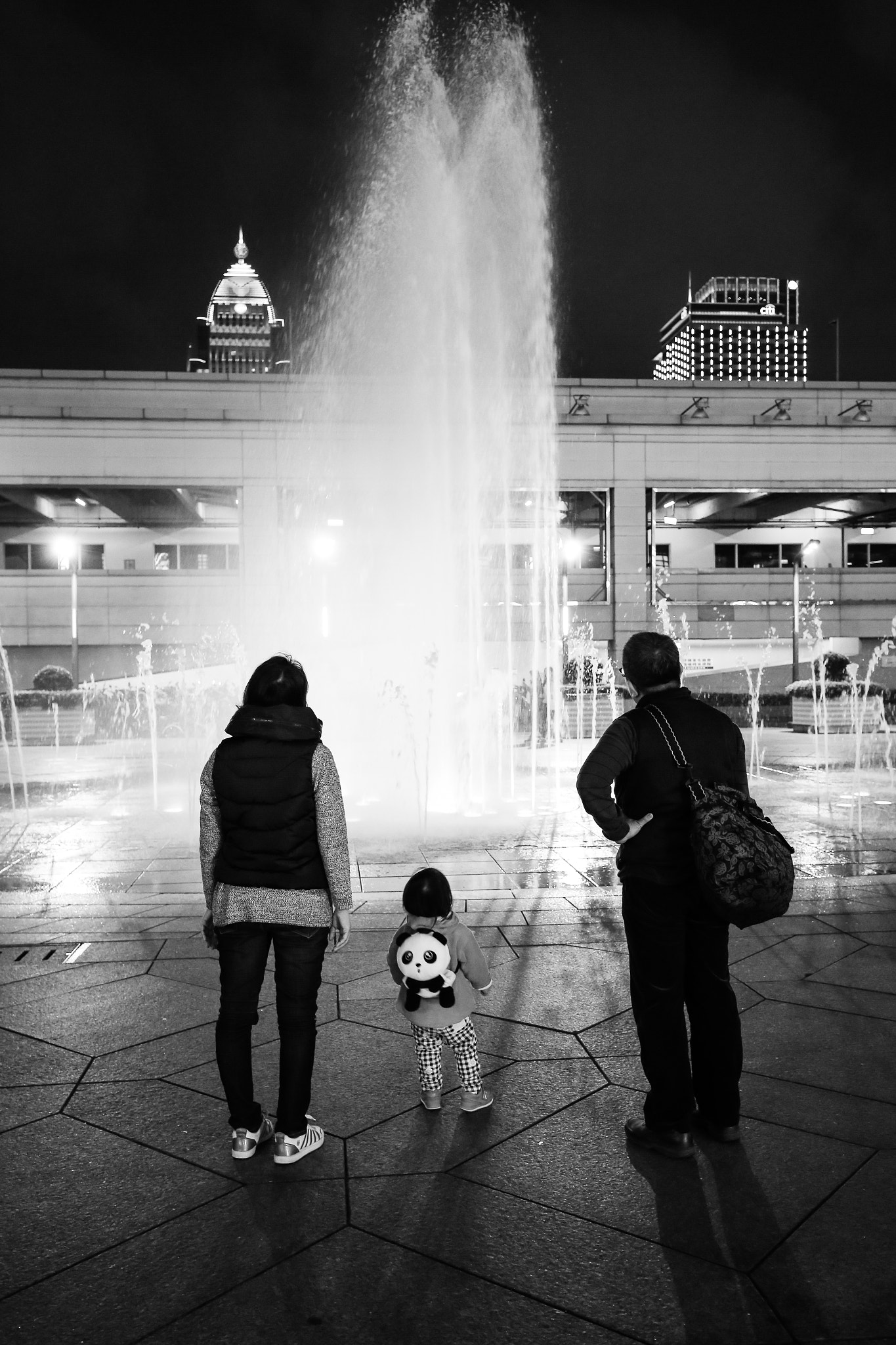 Canon EF 16-35mm F4L IS USM sample photo. Water show photography