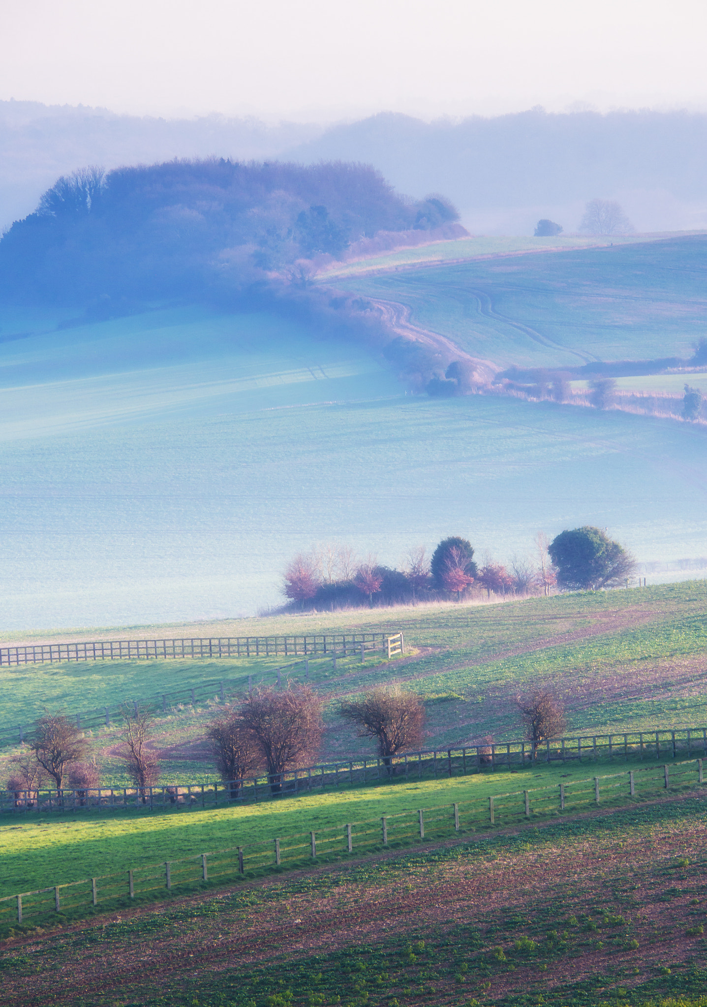 Panasonic Lumix G Vario 45-200mm F4-5.6 OIS sample photo. Cold light across the fields photography
