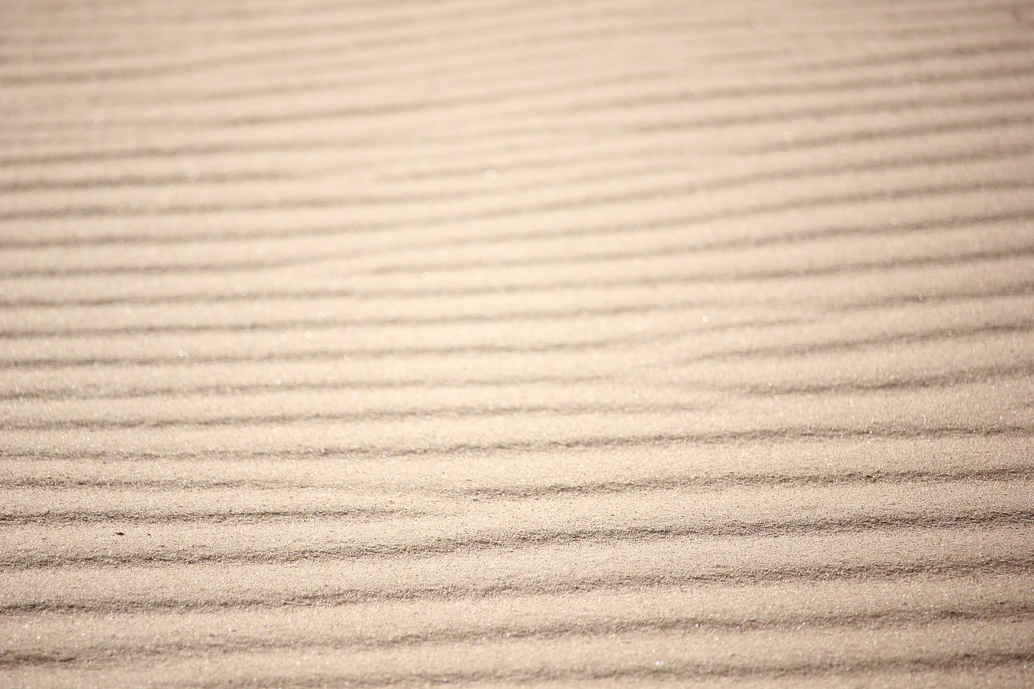 Canon EF-S 55-250mm F4-5.6 IS STM sample photo. Desert ocean photography