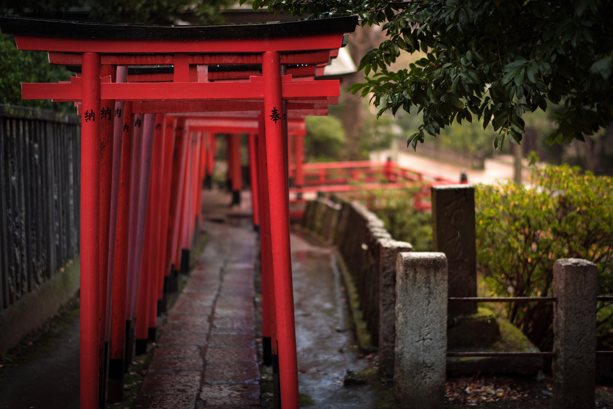 Nikon D750 + Nikon AF-S Nikkor 58mm F1.4G sample photo. Torii photography