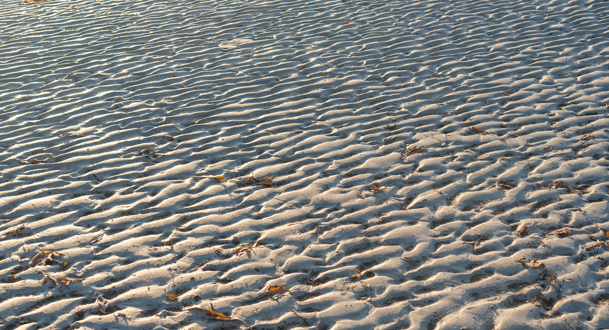 Sony Alpha NEX-6 + Sony E 35mm F1.8 OSS sample photo. Sand photography