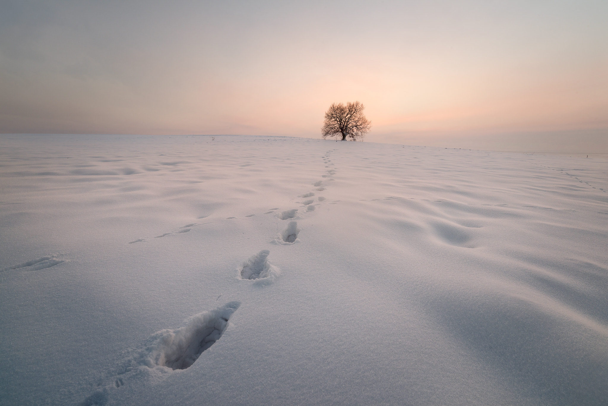 Nikon D800E + Tamron SP 15-30mm F2.8 Di VC USD sample photo. Loneliness in the snow kingdom photography