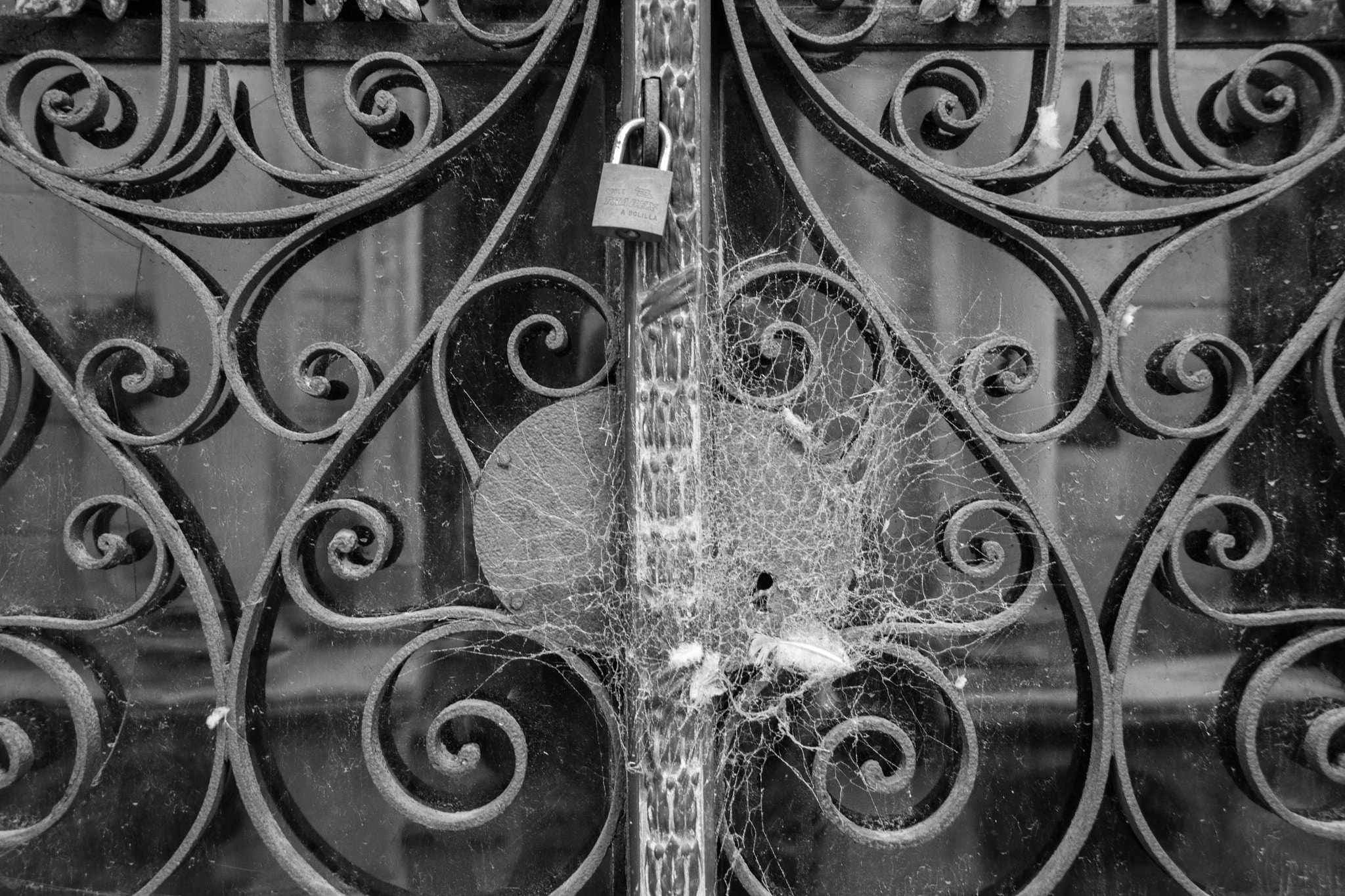 Nikon D810 sample photo. Cementerio de la recoleta photography