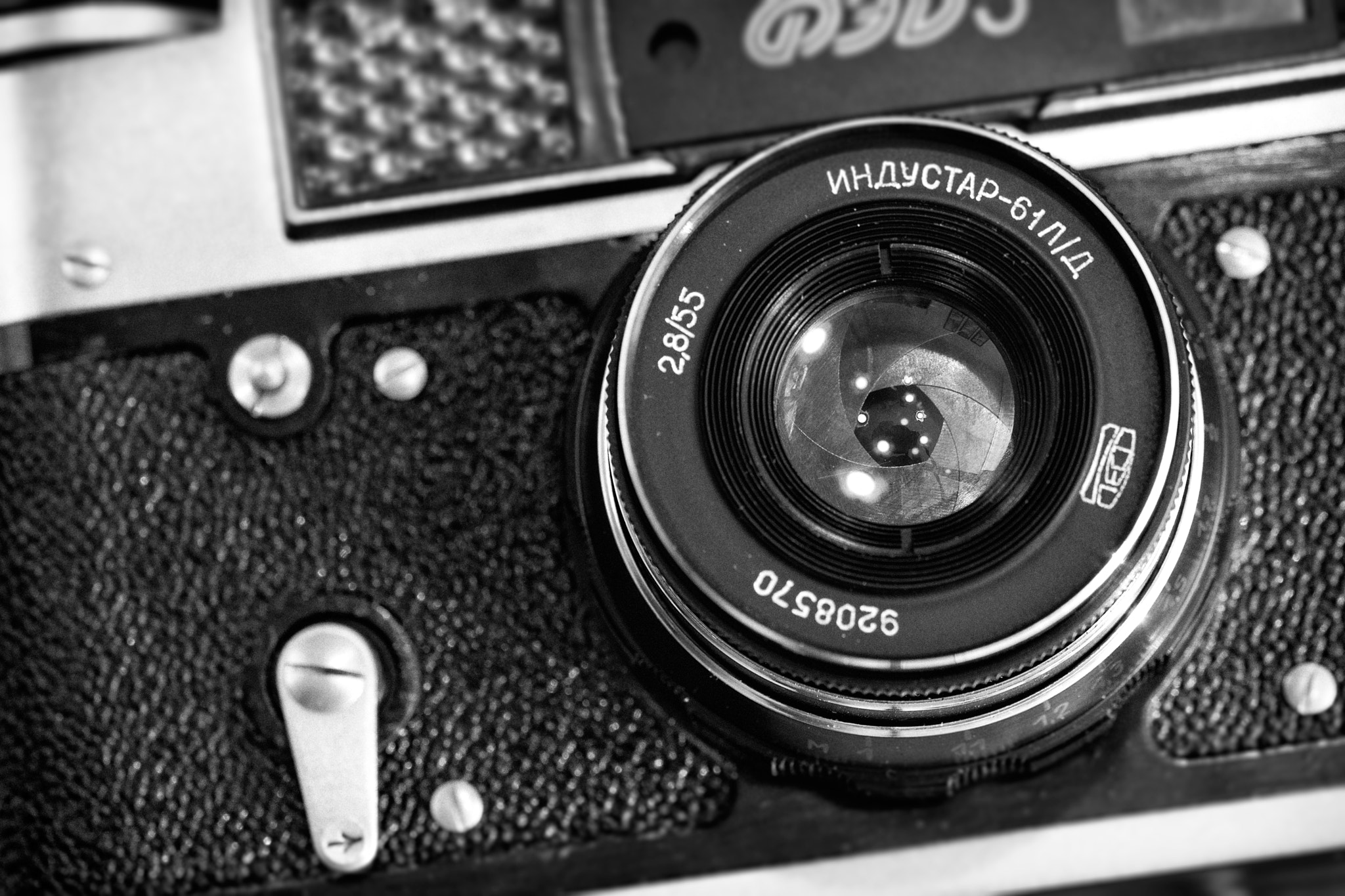 Nikon D90 + Tamron SP 90mm F2.8 Di VC USD 1:1 Macro (F004) sample photo. Fed-5 (6) photography
