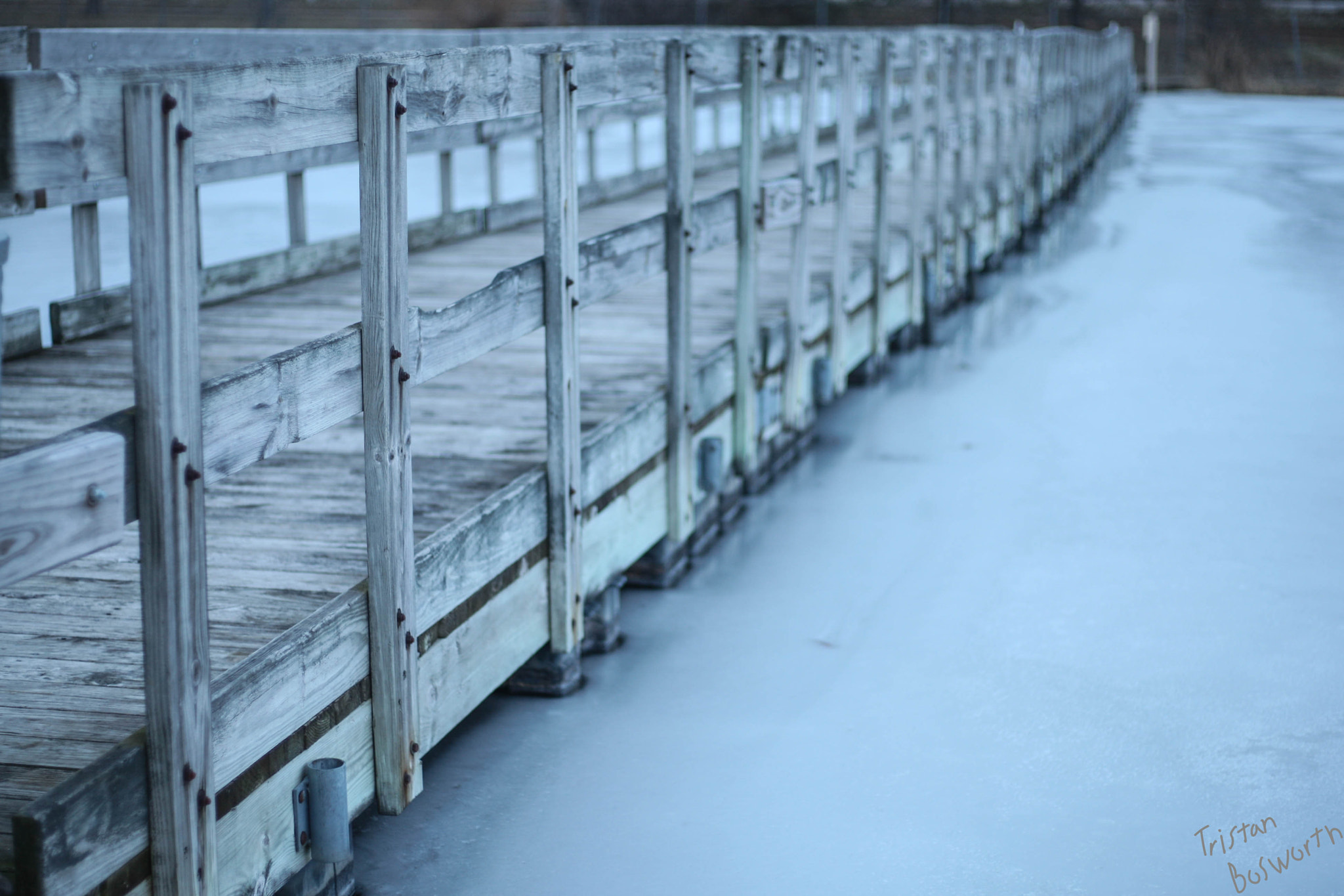Canon EOS-1D Mark III + Canon EF 50mm F1.8 STM sample photo. Lake sixteen in winter no. 1 photography