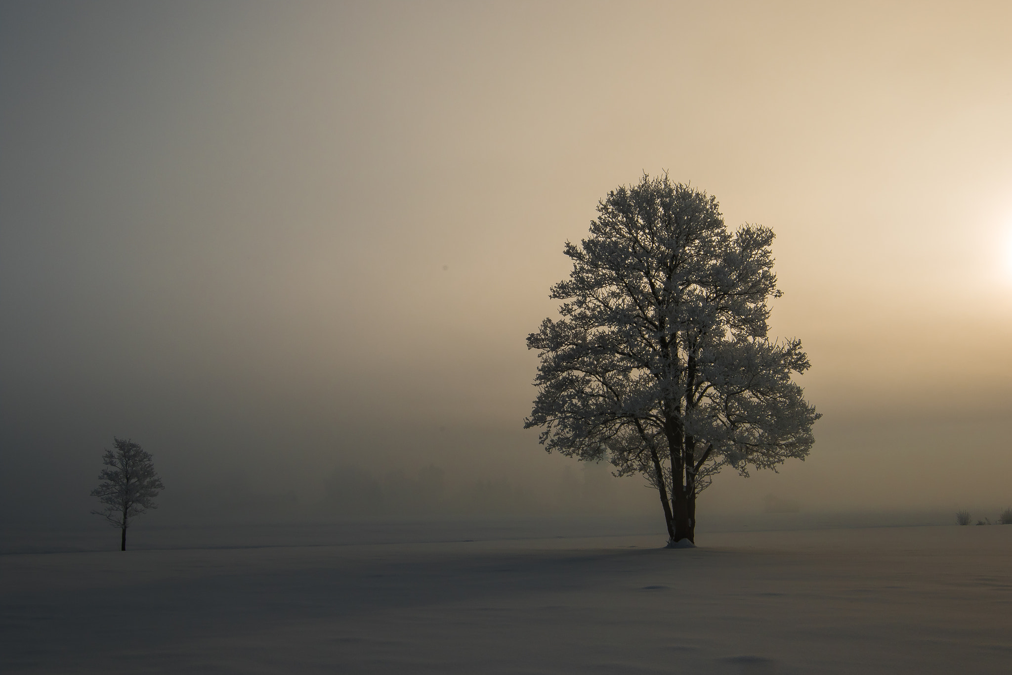 Canon EF 16-35mm F2.8L II USM sample photo. Misty morning photography
