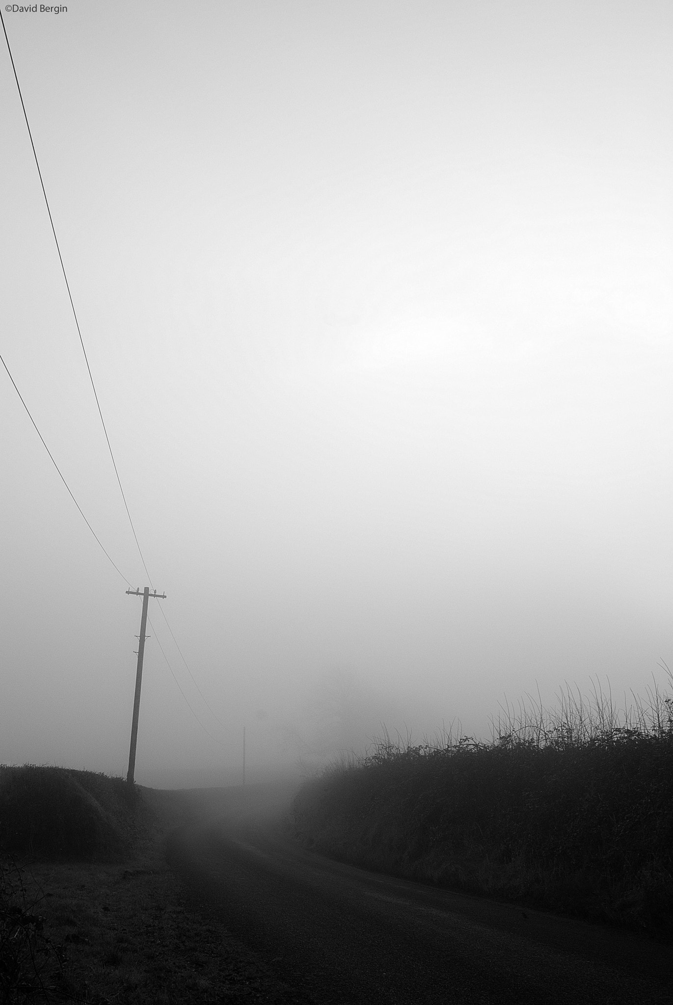 Nikon D3000 sample photo. Lost morning photography