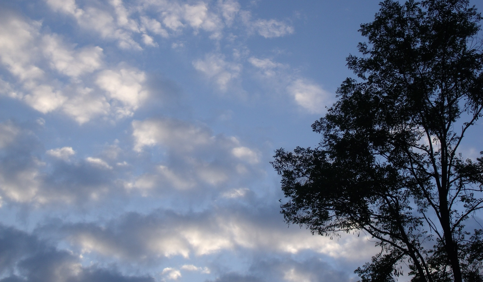 Fujifilm FinePix J110W sample photo. An ordinary evening photography