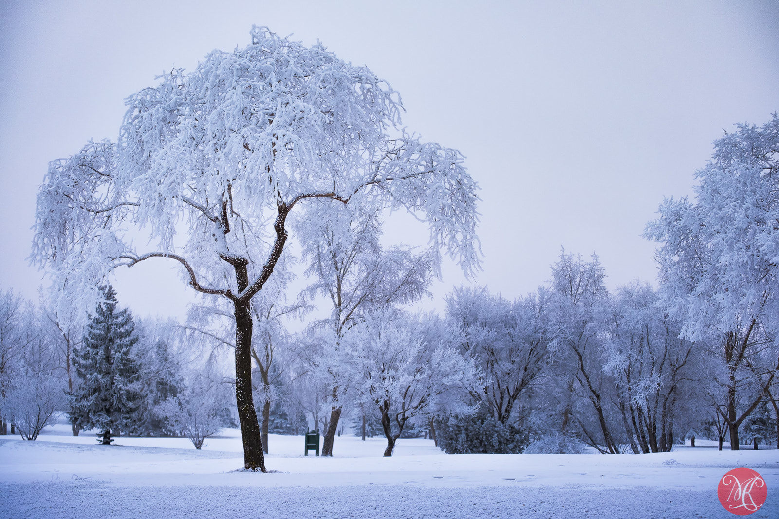 Fujifilm X-E2 + Fujifilm XF 55-200mm F3.5-4.8 R LM OIS sample photo. Frosty morning 1 photography
