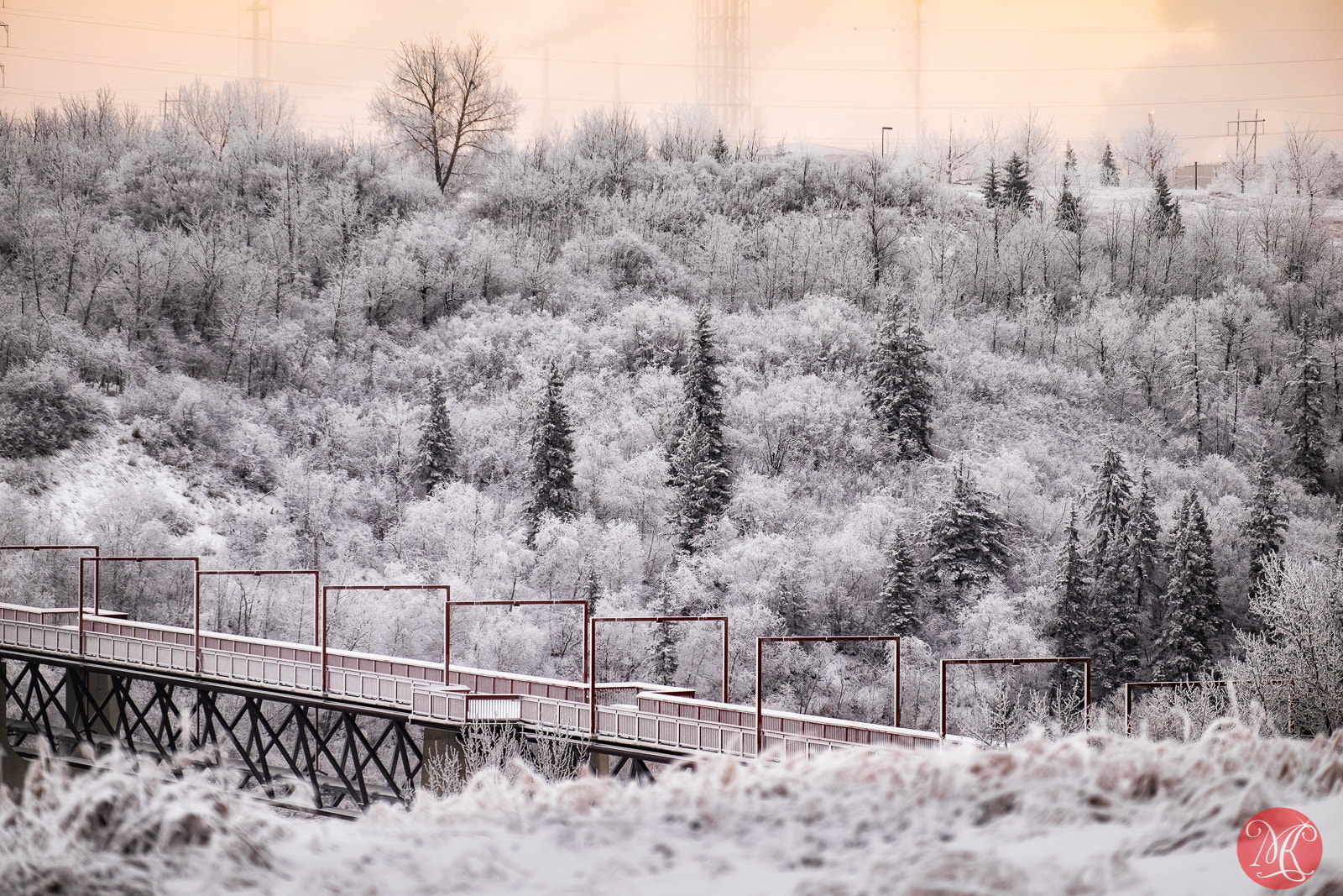 Fujifilm X-E2 + Fujifilm XF 55-200mm F3.5-4.8 R LM OIS sample photo. Frosty morning 3 photography