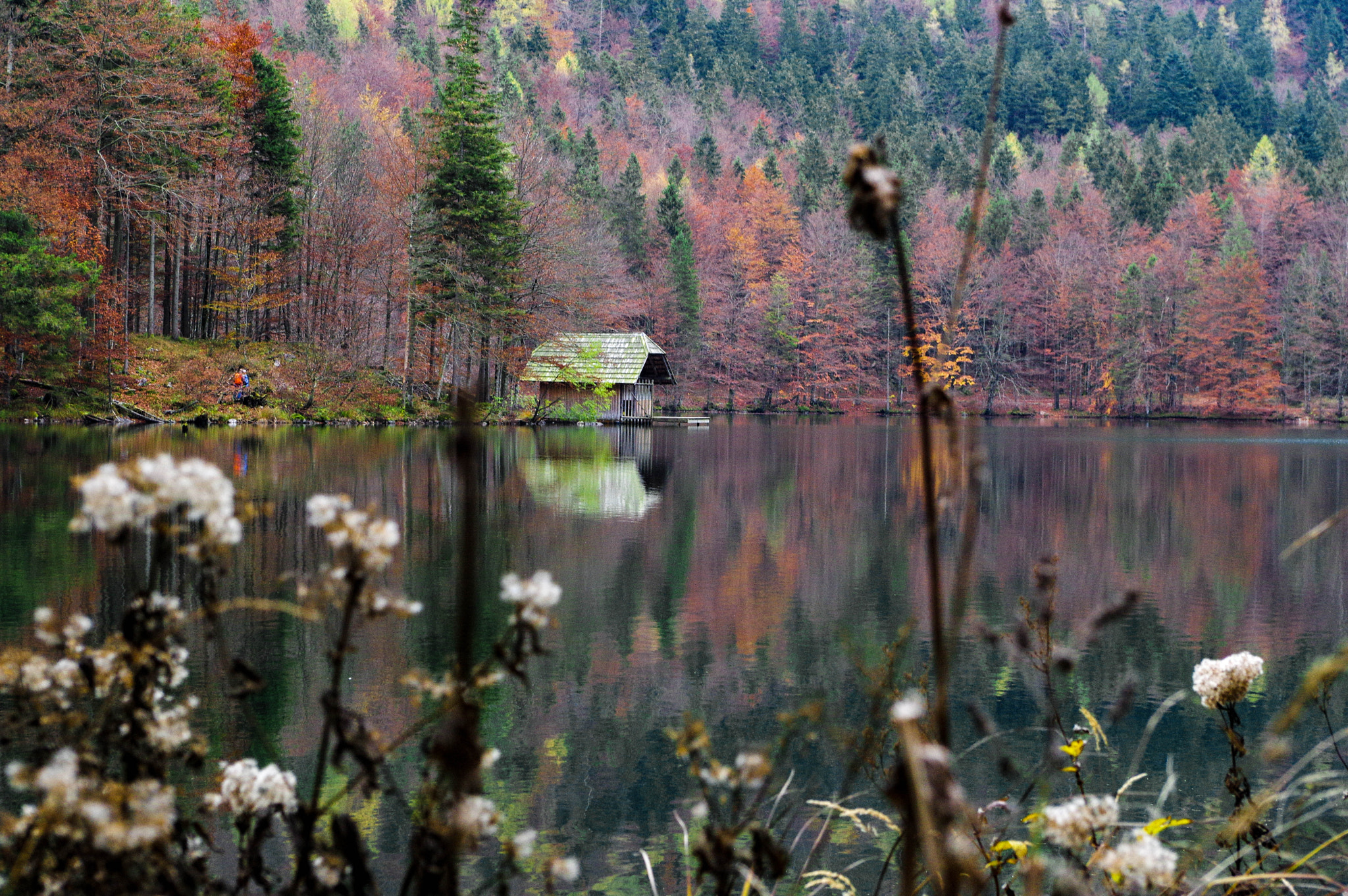 Pentax K-3 II sample photo. Haus am see photography