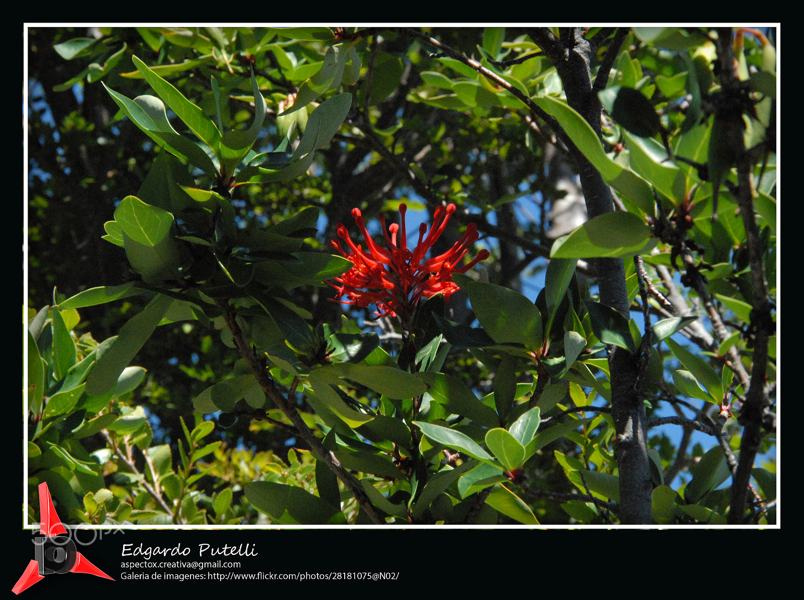 Sigma 18-200mm F3.5-6.3 DC OS HSM sample photo. X photography