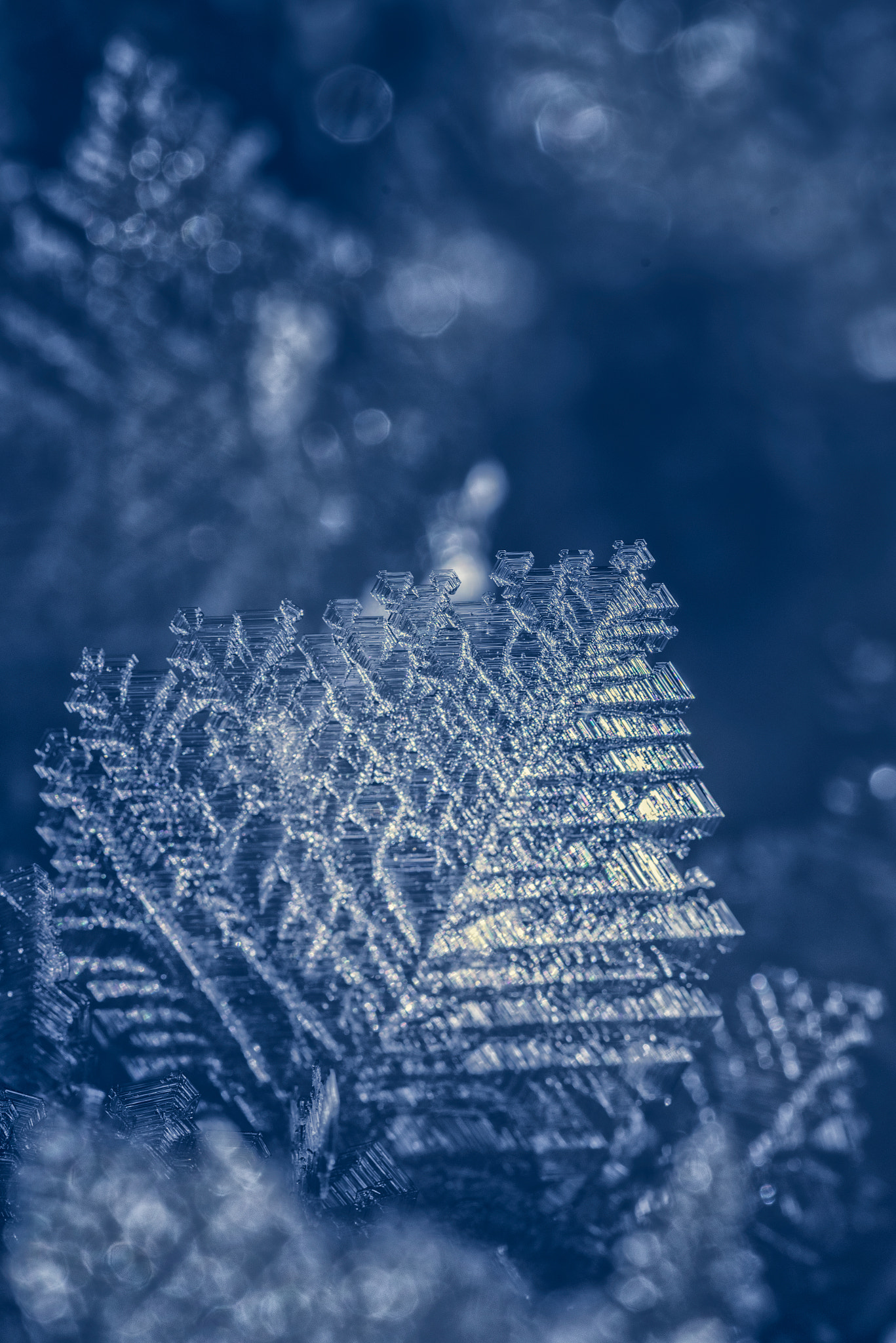 Sigma 150mm F2.8 EX DG Macro HSM sample photo. Ice crystal photography
