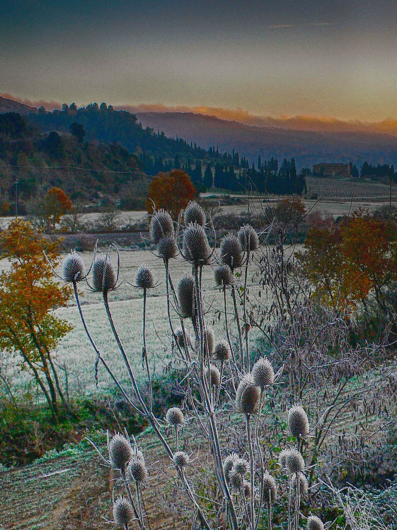 Panasonic DMC-LX1 sample photo. Winter landscape in tuscany photography