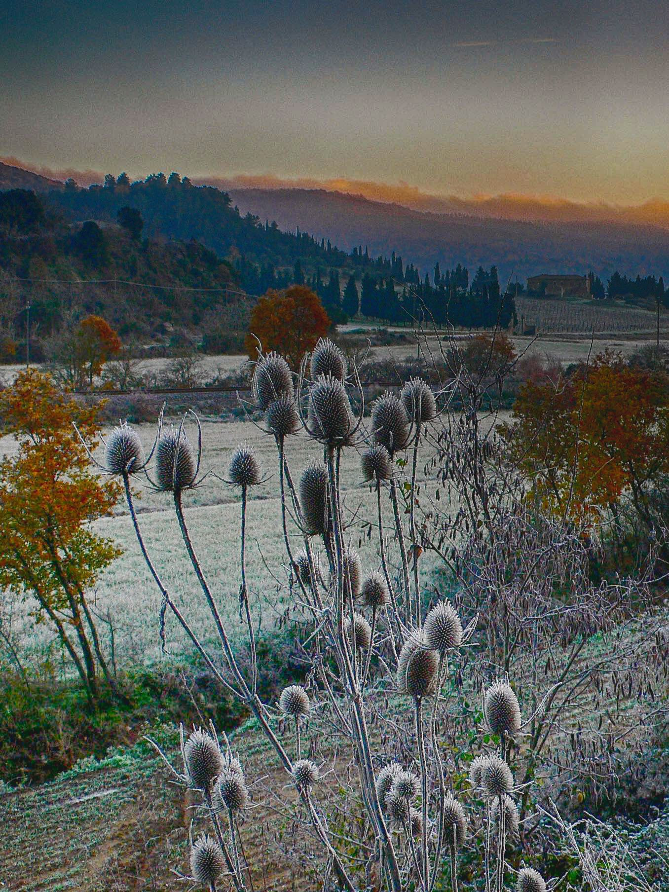 Panasonic DMC-LX1 sample photo. Winter landscape in tuscany photography