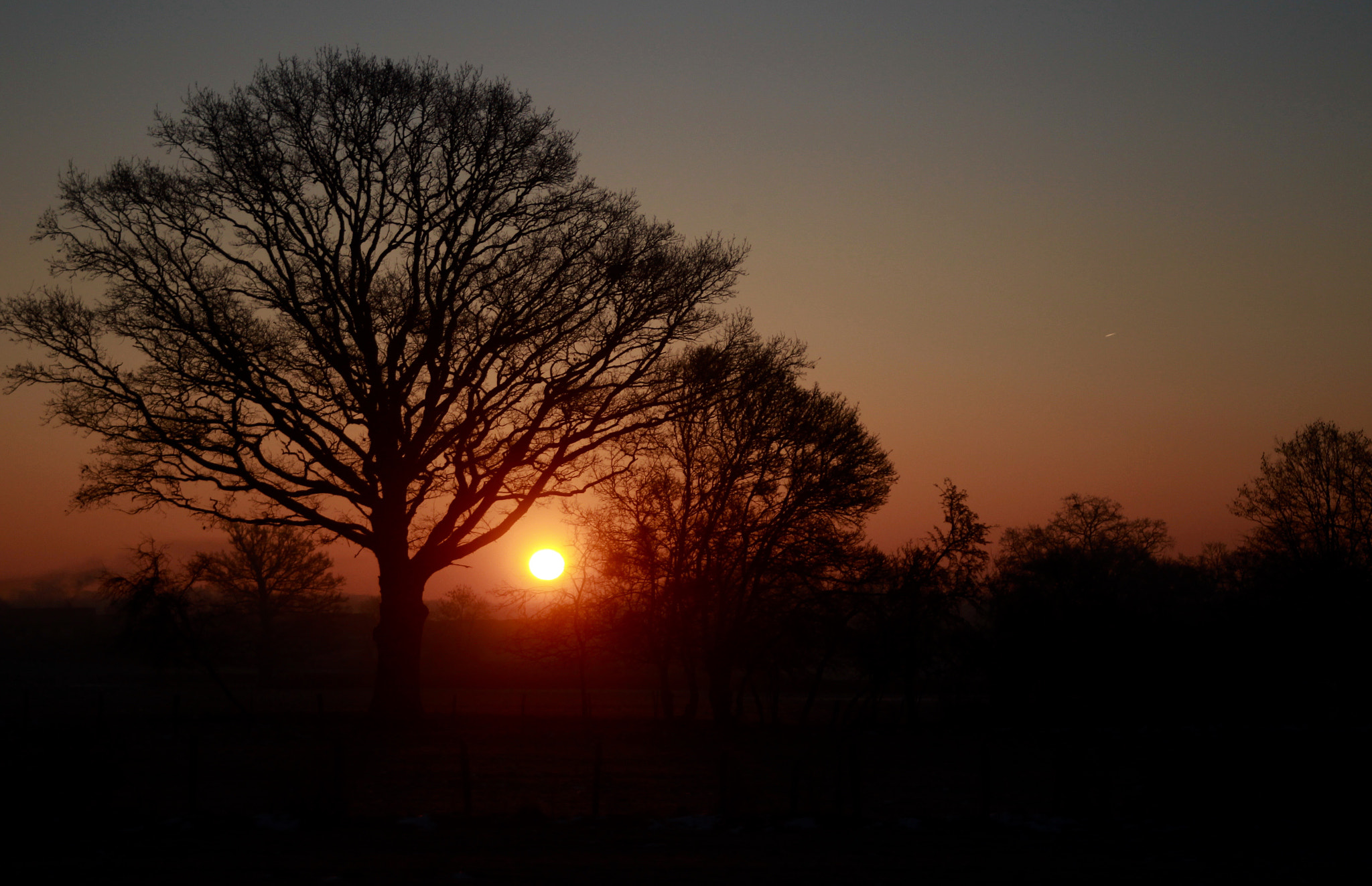 Canon EOS-1D Mark IV sample photo. A mouillon photography