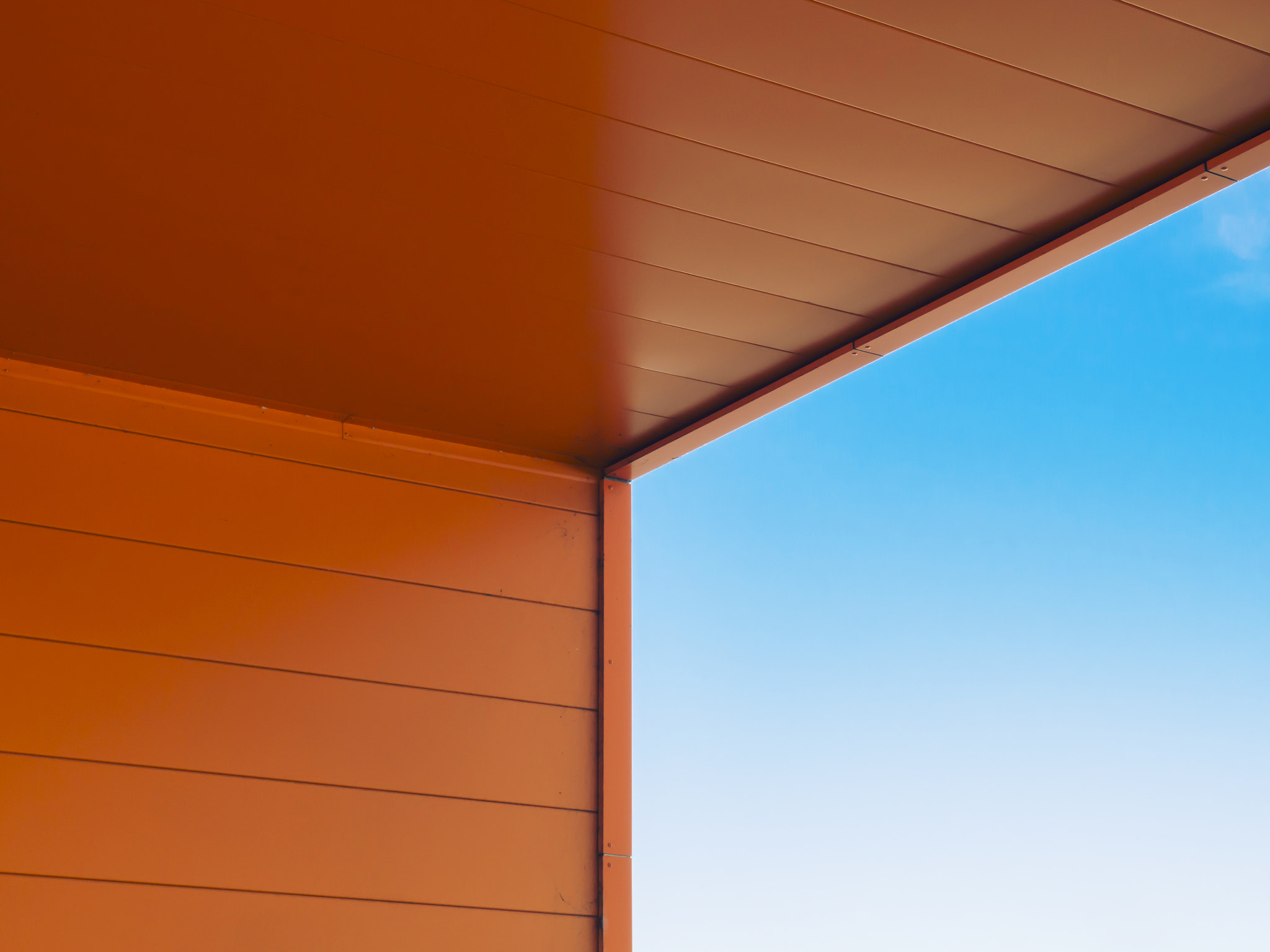 Olympus M.Zuiko Digital 14-42mm F3.5-5.6 II R sample photo. Orange is the new black photography