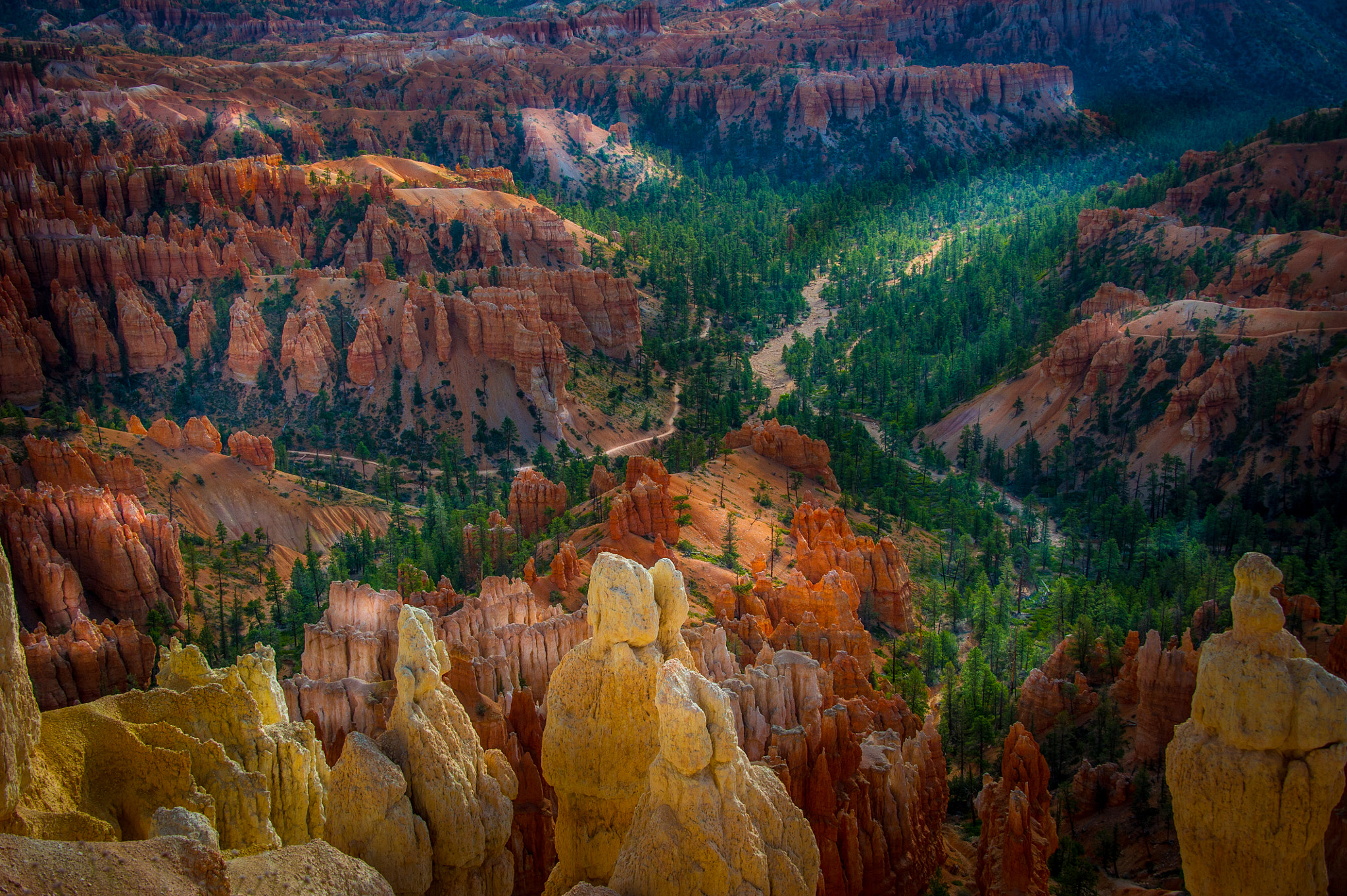 Nikon D3S sample photo. Bryce canyon trails photography