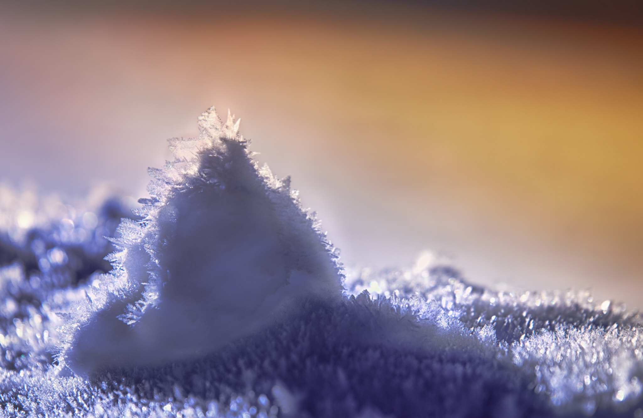 Tamron SP 70-200mm F2.8 Di VC USD sample photo. Frosty photography