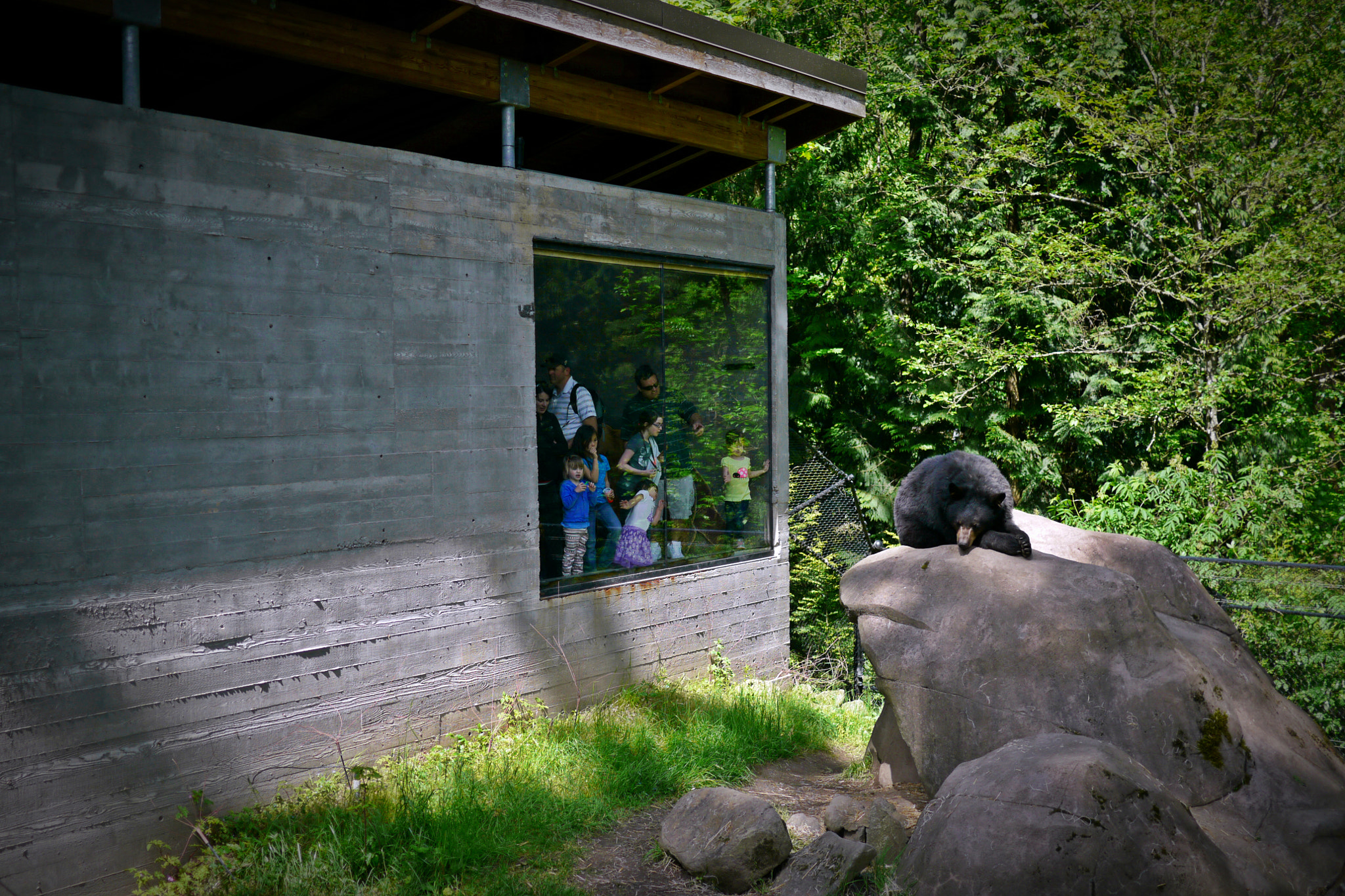 Panasonic Lumix DMC-GH1 sample photo. 13983418040.jpg photography