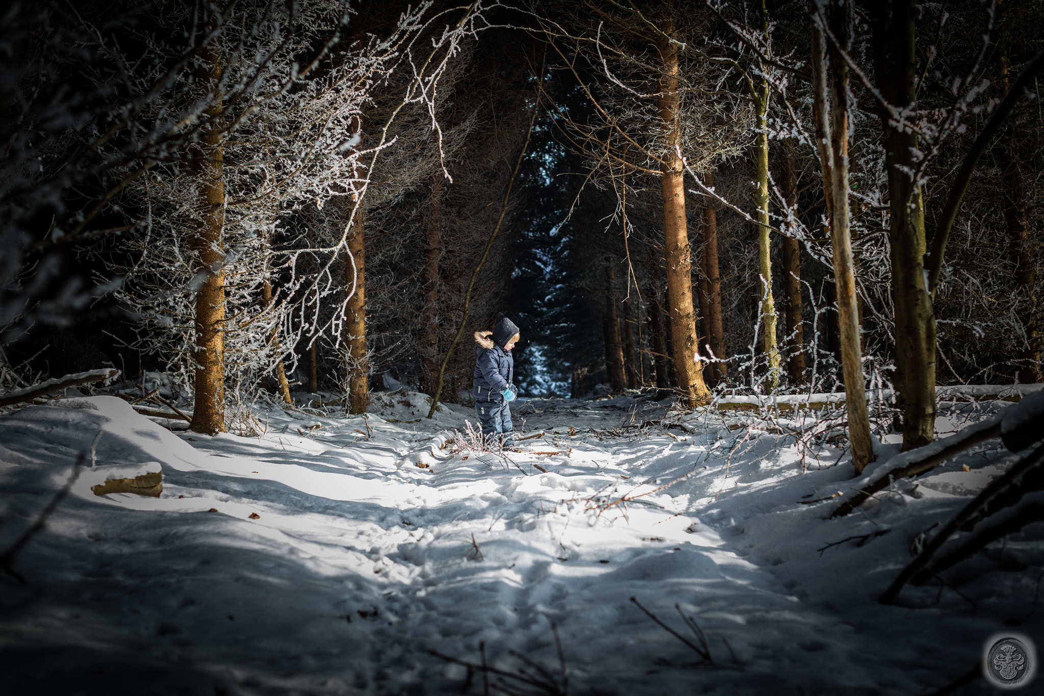 Canon EOS 5DS + Canon EF 50mm F1.2L USM sample photo. ...little astronaut and the light source... photography