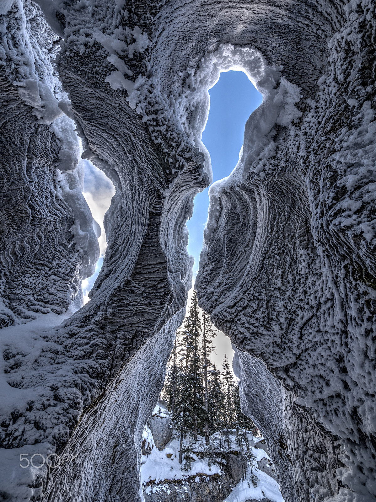 Panasonic Lumix DMC-GX7 + Panasonic Lumix G Vario 7-14mm F4 ASPH sample photo. Frost patterns yoho park photography