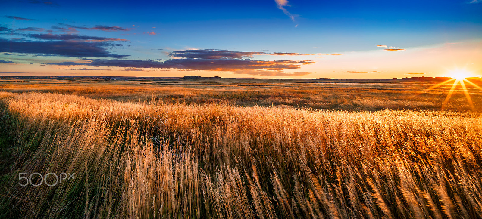 Sony a7R II + Voigtlander SUPER WIDE-HELIAR 15mm F4.5 III sample photo. Windy grasslands photography