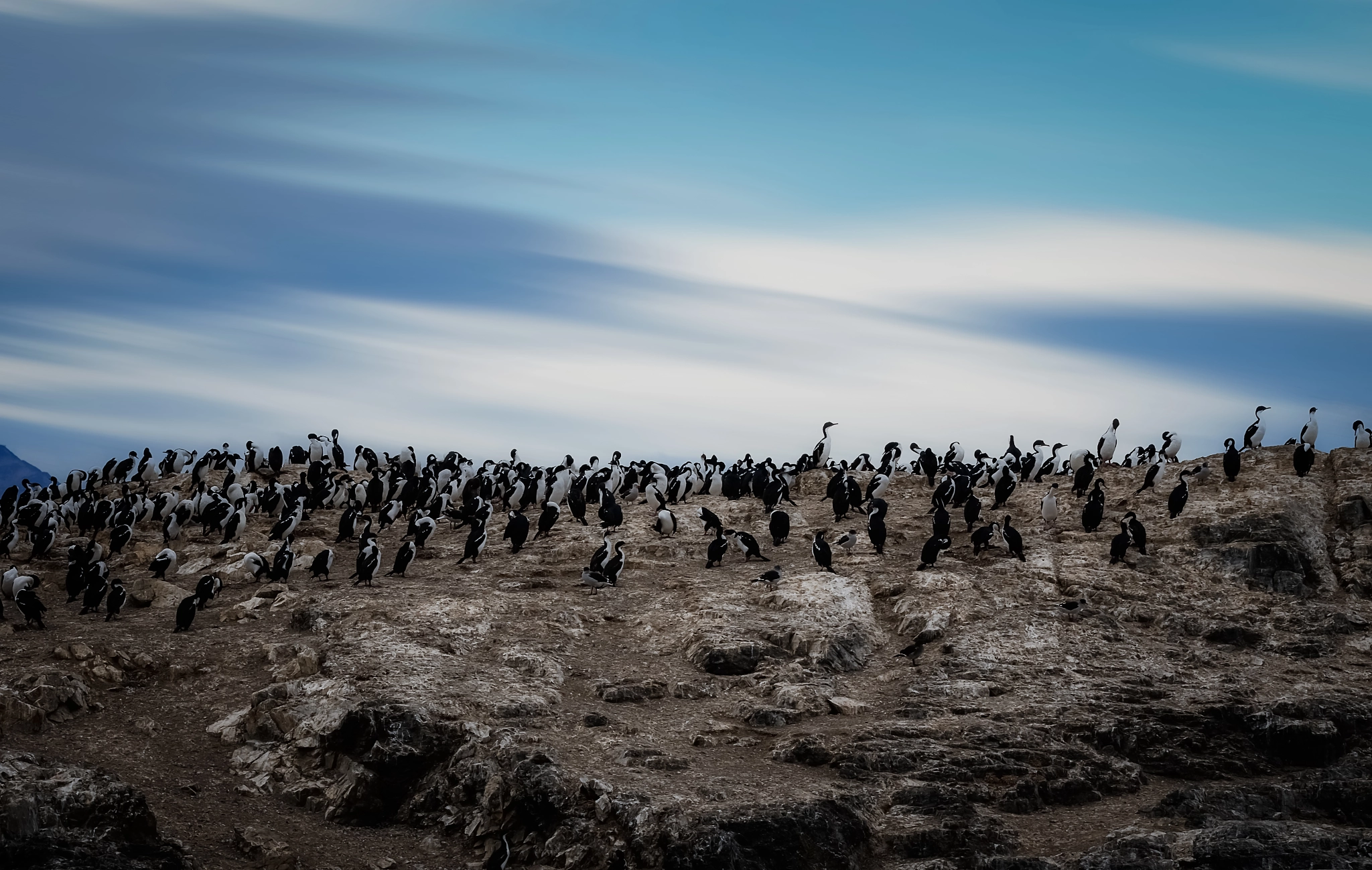 Canon EOS 7D Mark II + Canon EF 70-200mm F2.8L IS II USM sample photo. Ushuaia photography