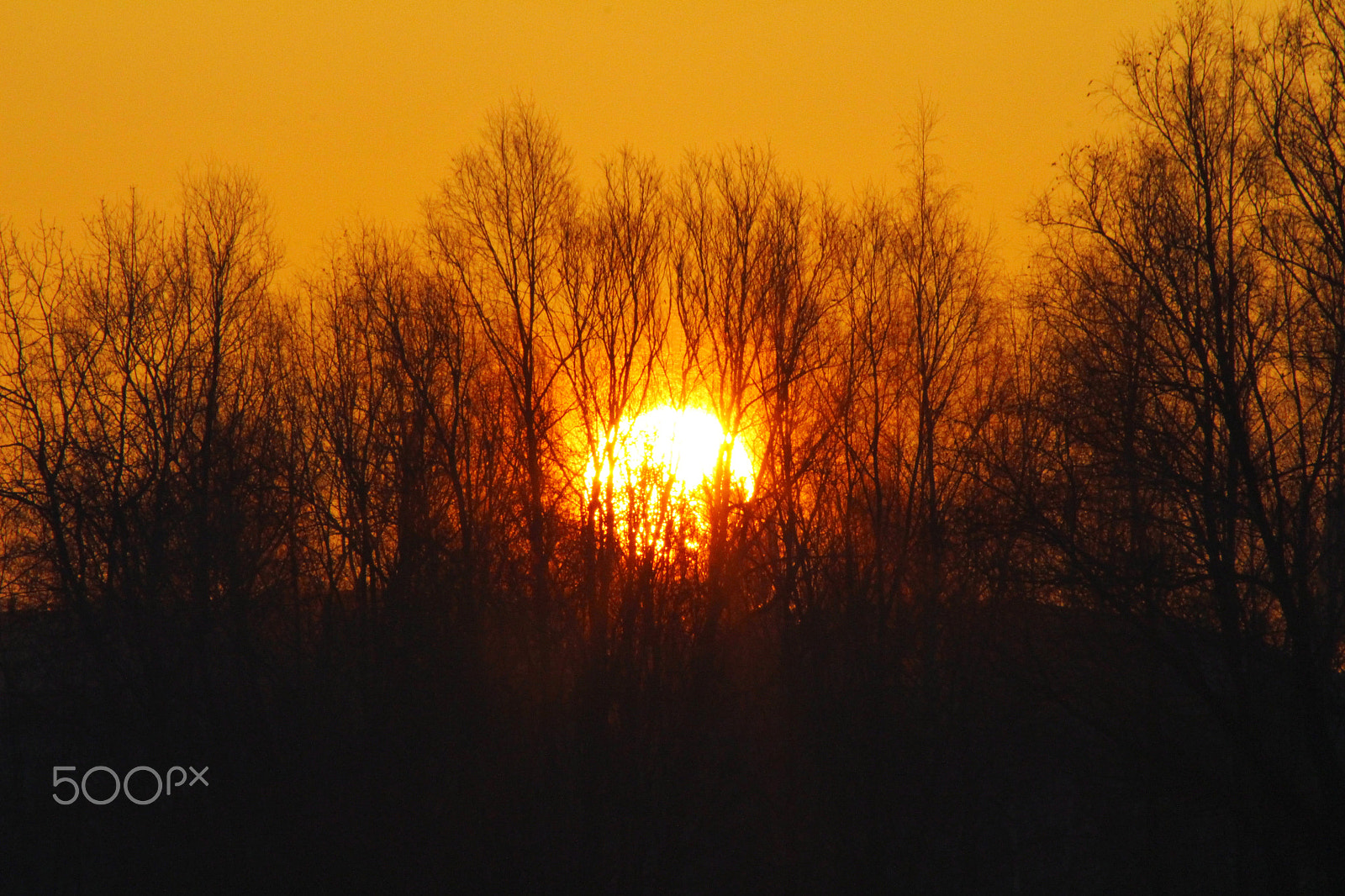 Canon EF 75-300mm F4.0-5.6 IS USM sample photo. Rise photography