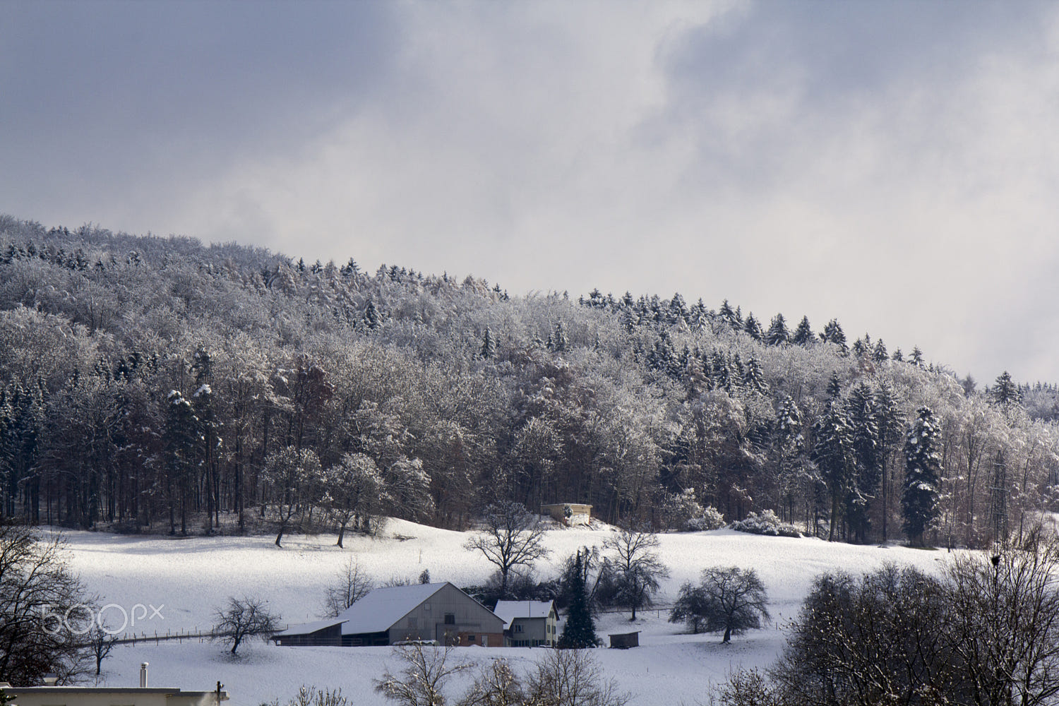 snowy landscape  schnee bäume auf hügel mit hauseric