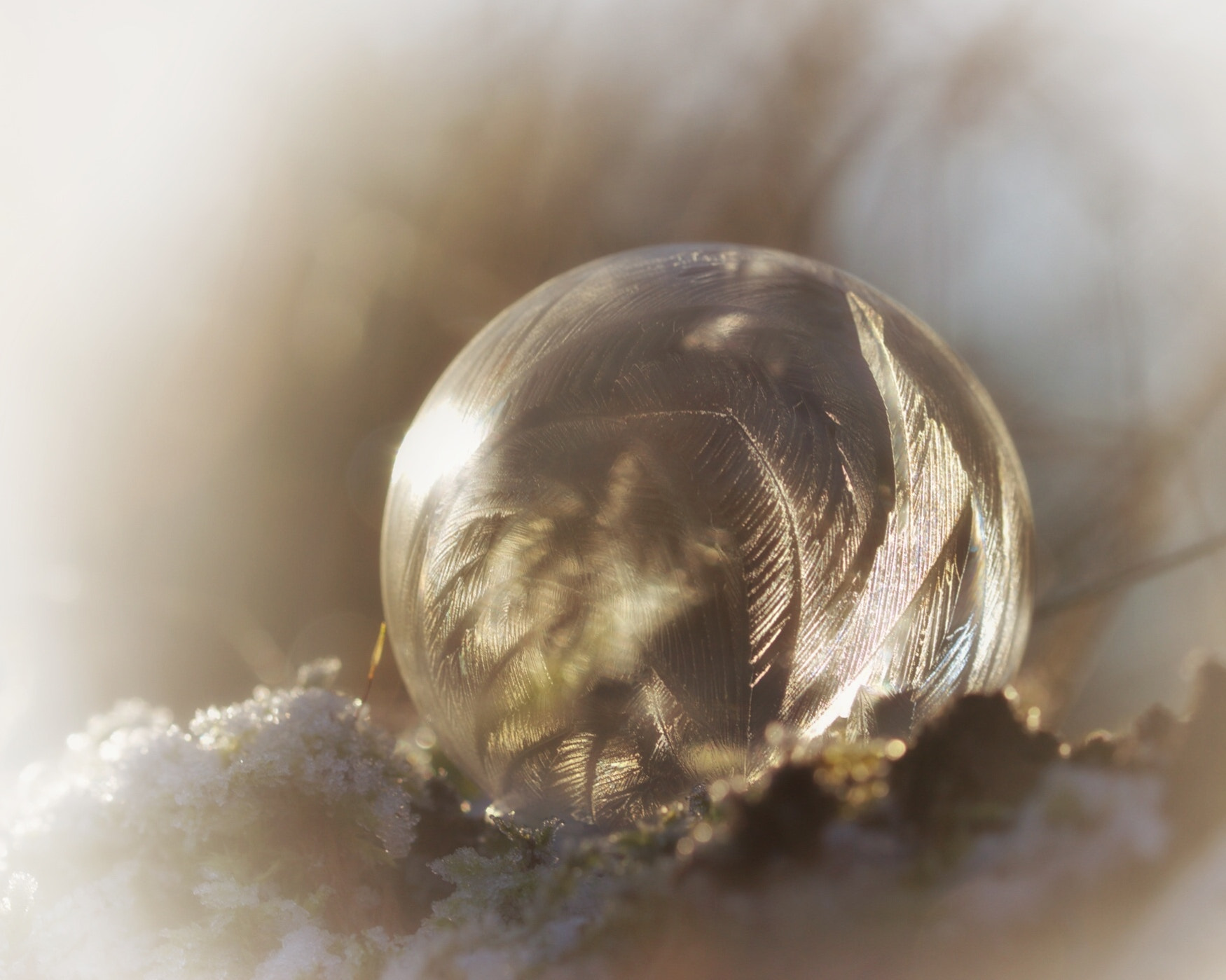 Canon EF 100mm F2.8L Macro IS USM sample photo. Frozen bubble photography