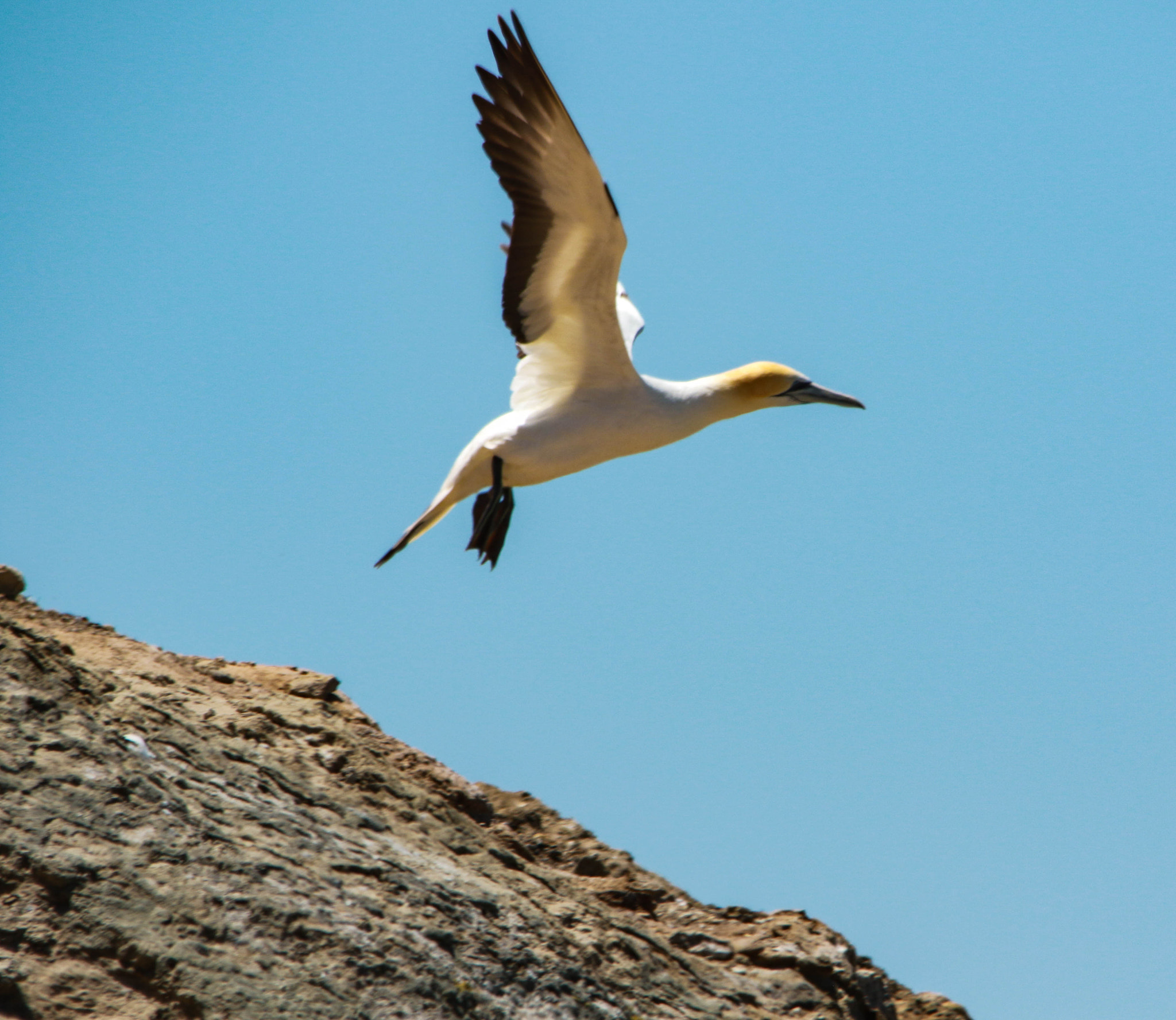 Sigma 150-500mm F5-6.3 DG OS HSM sample photo. Off the edge photography
