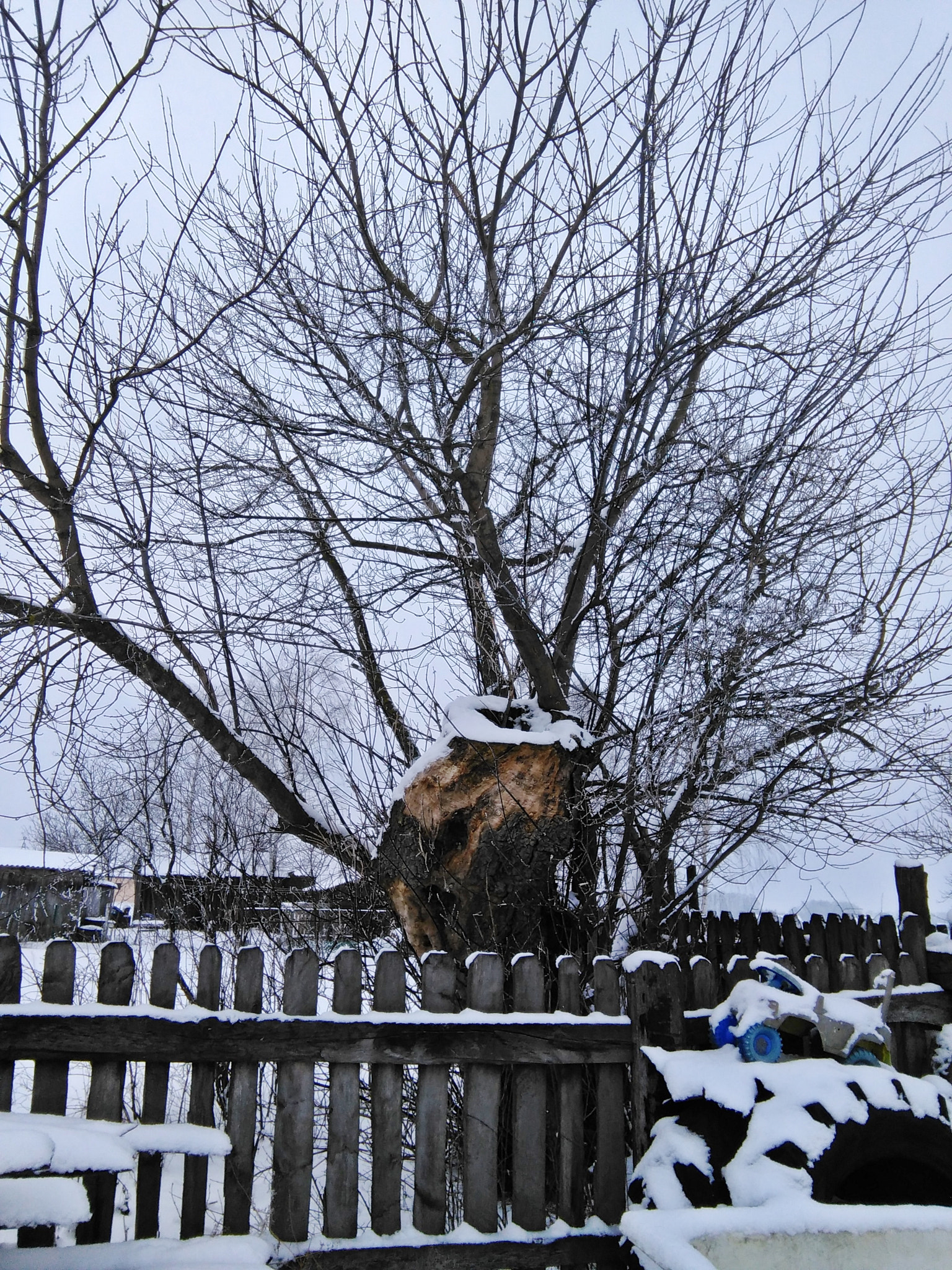 HUAWEI G620S-L01 sample photo. Winter photography