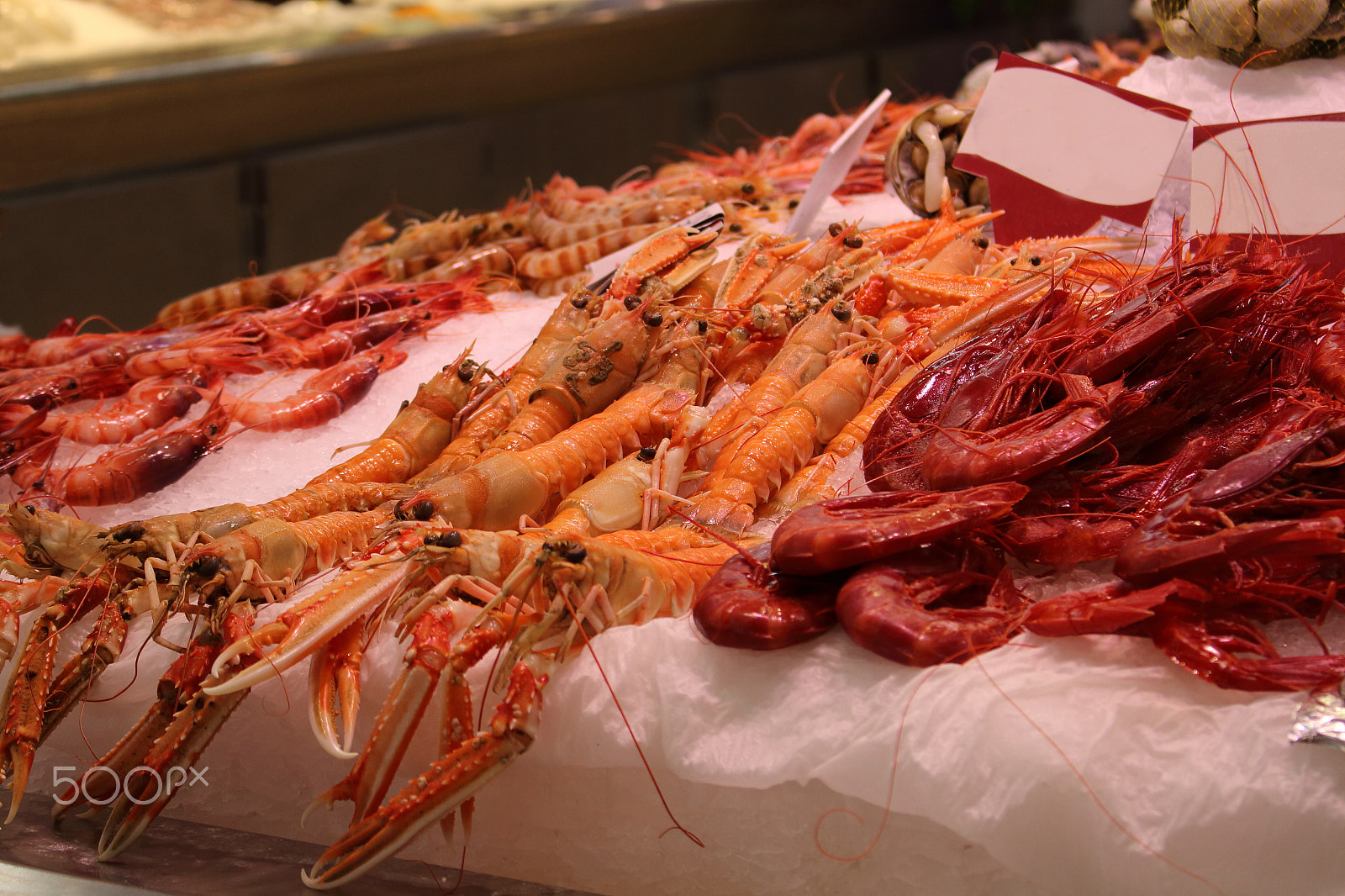 Canon EOS 1200D (EOS Rebel T5 / EOS Kiss X70 / EOS Hi) sample photo. Fish market in a european city photography