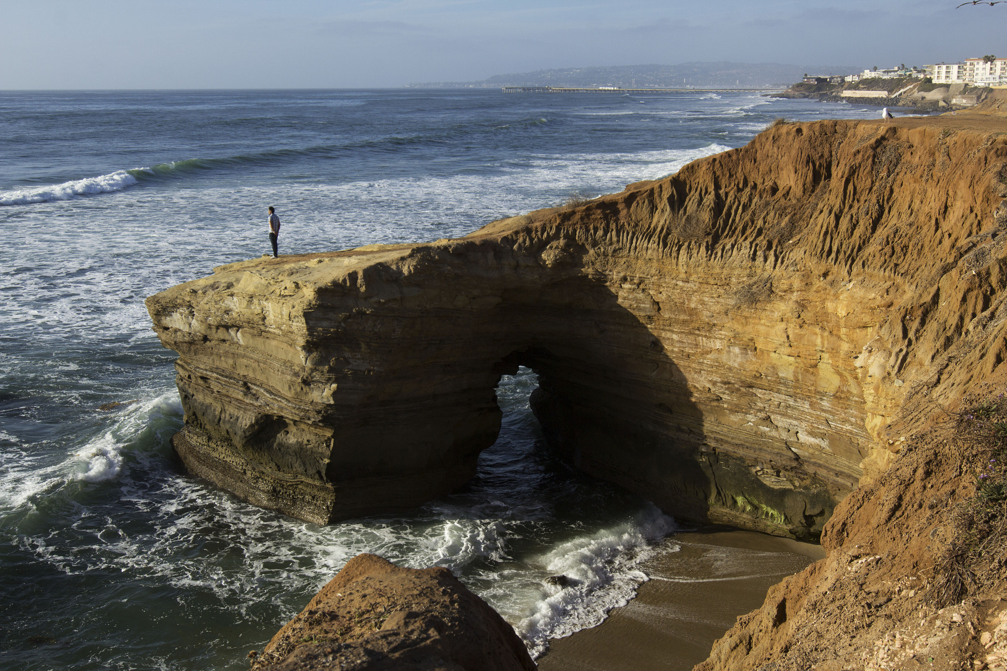 Canon EF 16-35mm F2.8L II USM sample photo. La jolla photography