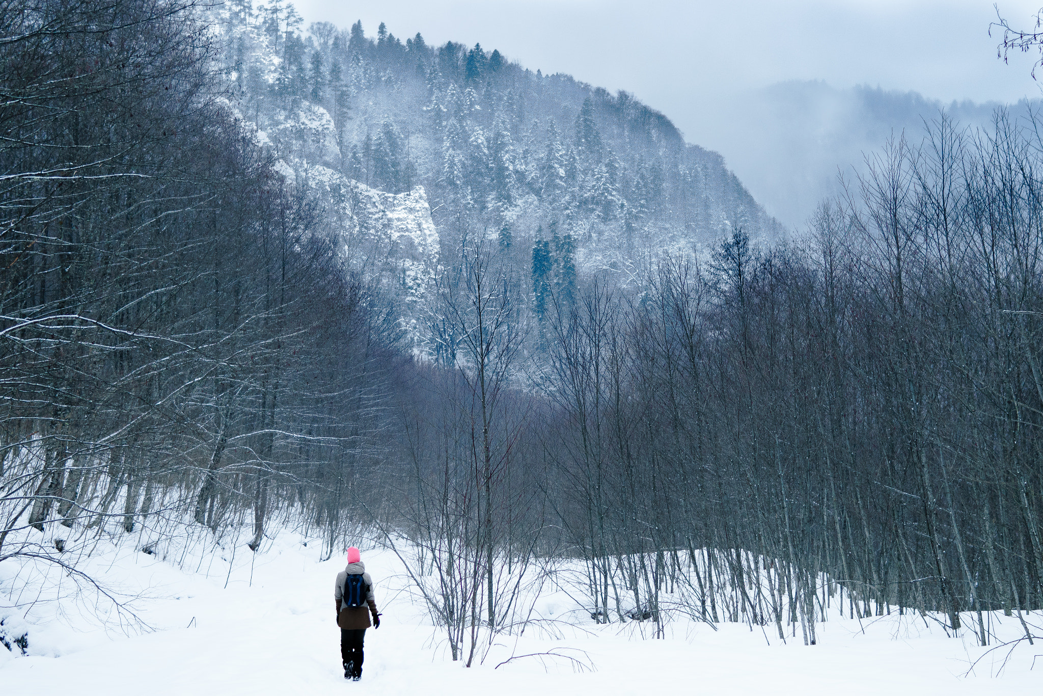 Sony a6300 + 30mm F1.4 DC DN | Contemporary 016 sample photo. Winter kingdom photography
