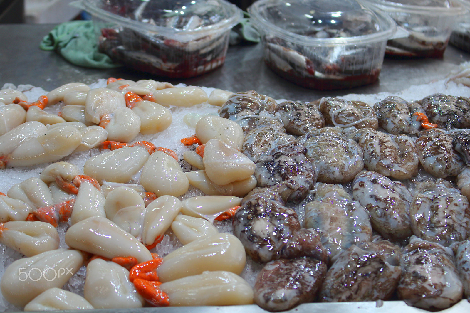 Canon EOS 1200D (EOS Rebel T5 / EOS Kiss X70 / EOS Hi) sample photo. Fish market in a european city photography