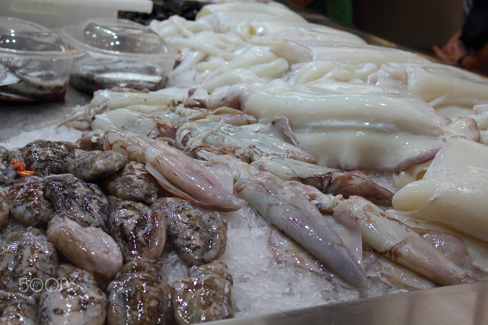 Canon EOS 1200D (EOS Rebel T5 / EOS Kiss X70 / EOS Hi) sample photo. Fish market in a european city photography