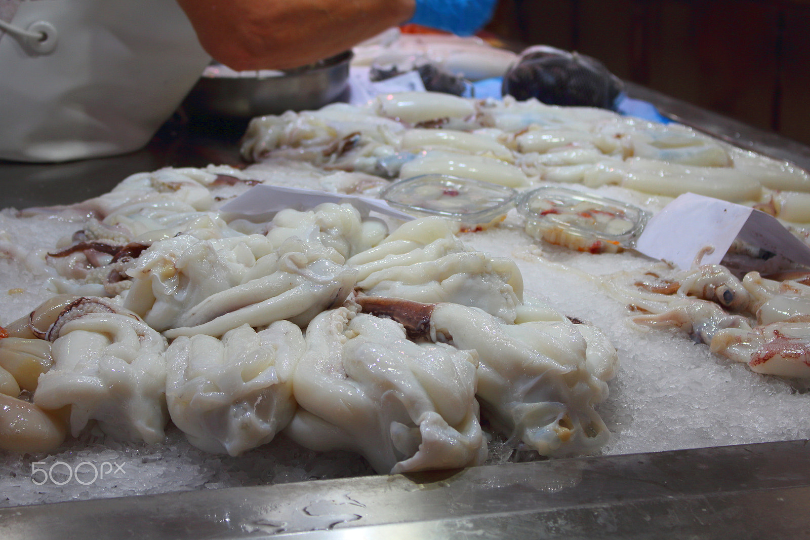 Canon EOS 1200D (EOS Rebel T5 / EOS Kiss X70 / EOS Hi) sample photo. Fish market in a european city photography