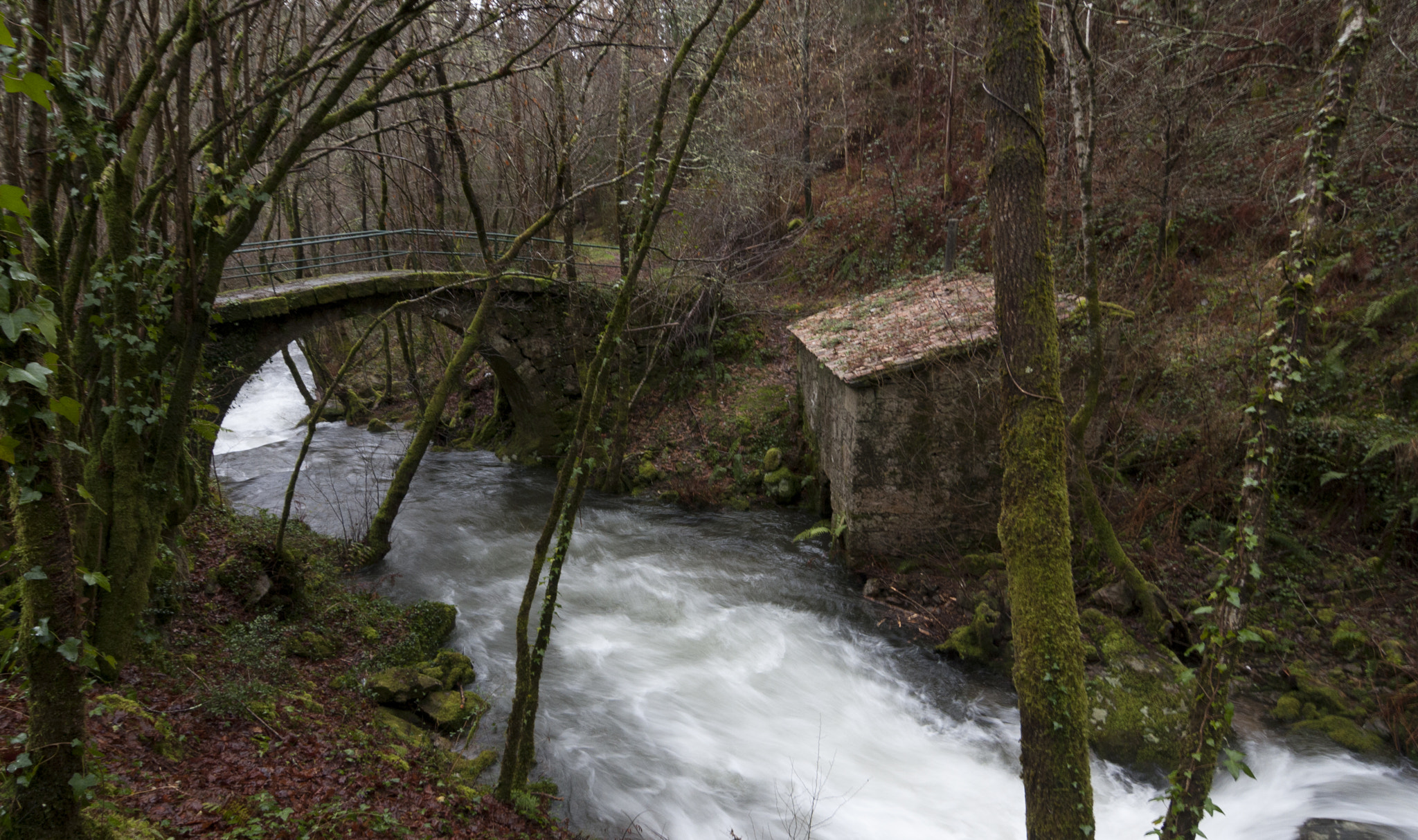 Tokina AT-X Pro 12-24mm F4 (IF) DX sample photo. Rio de maneses photography